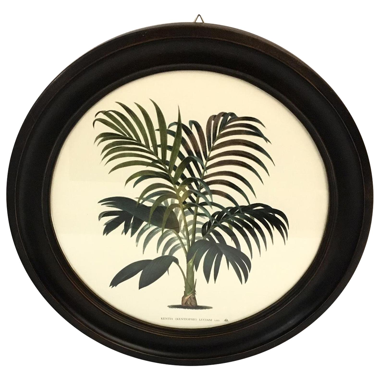 Italian Contemporary Hand Colored Palm Print with Round Wooden Frame 1 of 2 For Sale