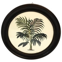 Italian Contemporary Hand Colored Palm Print with Round Wooden Frame 1 of 2