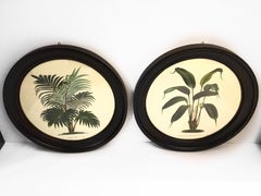 Italian Contemporary Hand Colored Palm Print with Round Wooden Frame 2 of 2