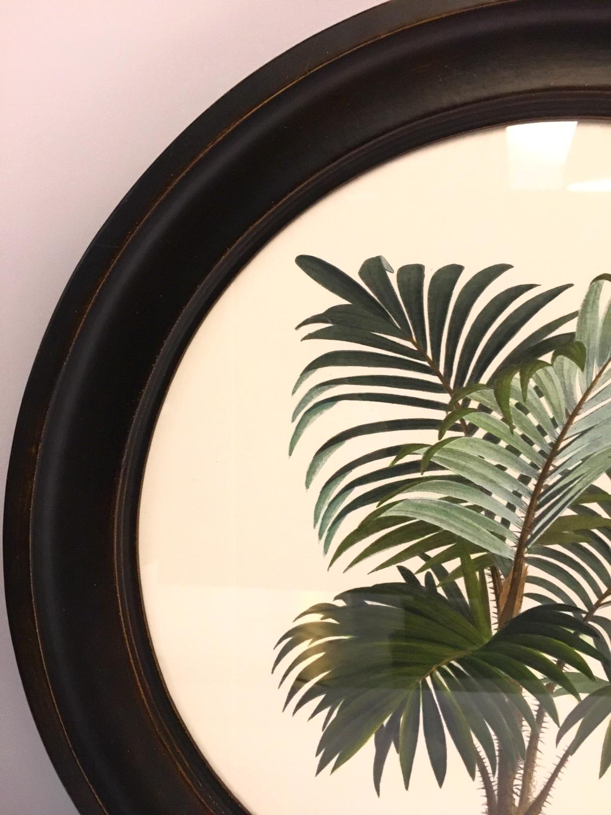 Hand-Painted Italian Contemporary Hand Colored Palm Print with Round Wooden Frame 2 of 2 For Sale