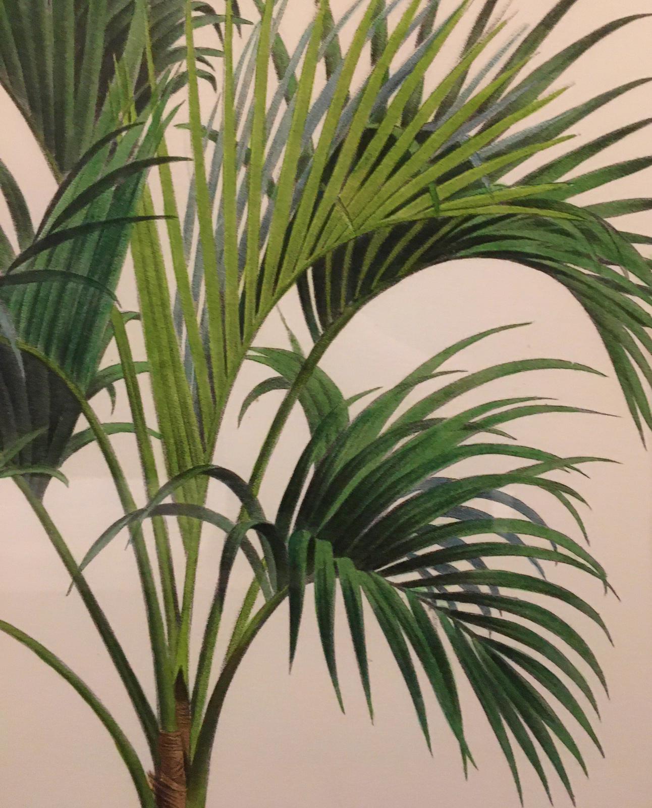 Peint à la main Impression italienne contemporaine de palmier colorée à la main avec cadre rond en bois - 1 de 2 en vente