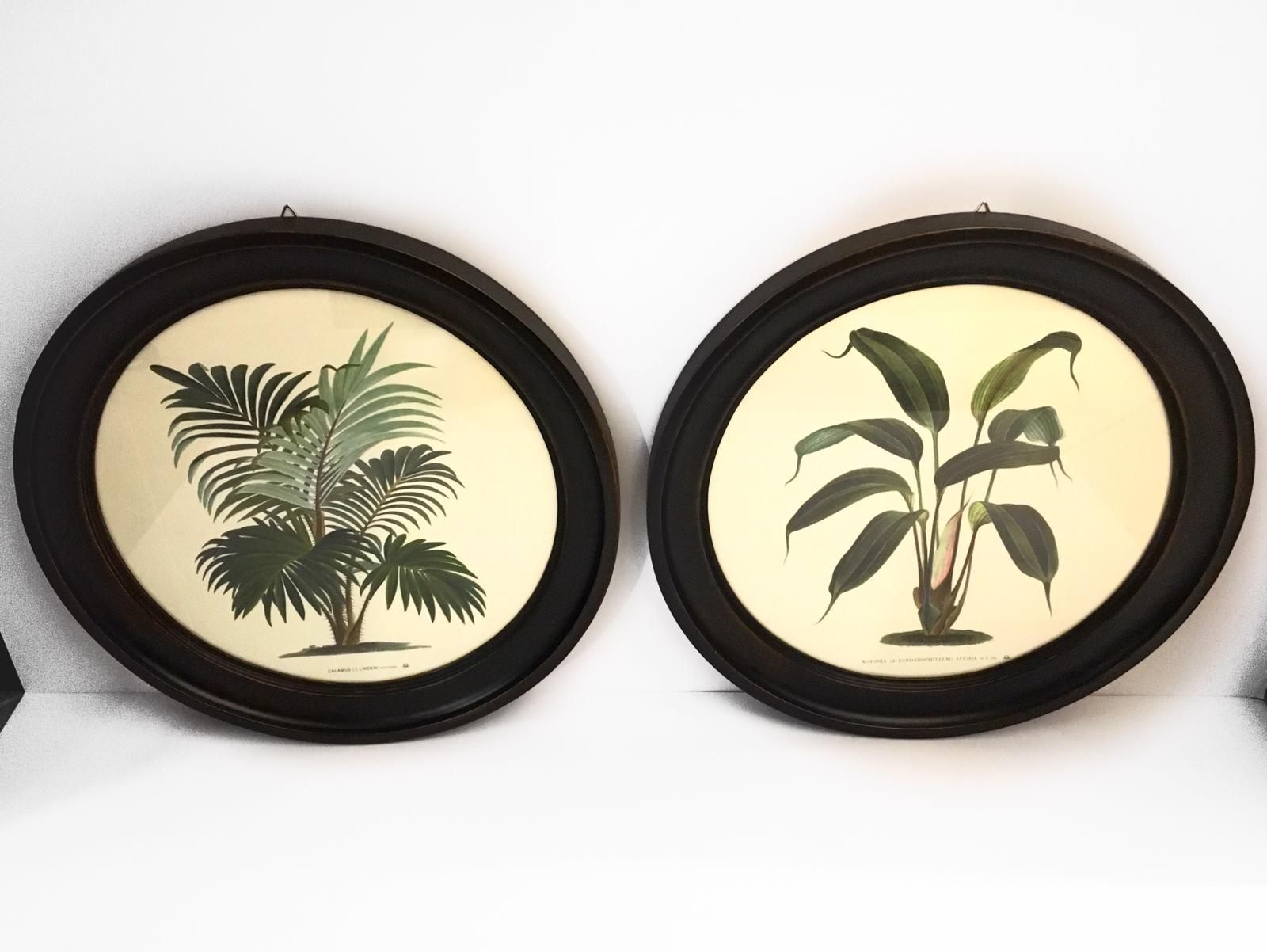 Italian Contemporary Hand Colored Print with Round Black Handmade Wooden Frame In New Condition For Sale In Scandicci, Florence