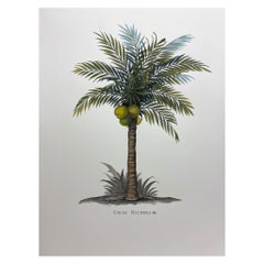 Italienischer Contemporary Hand Painted Botanical Großformatdruck "Cocos Nucifera"