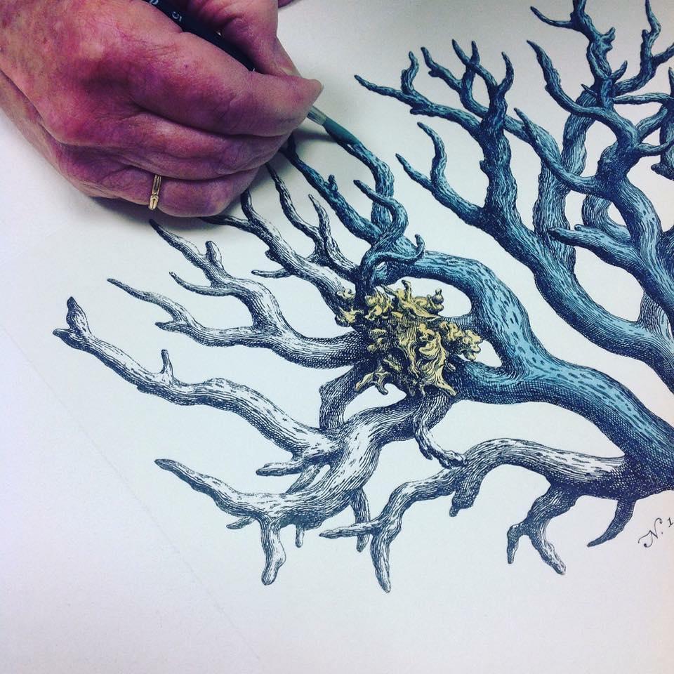 Gravure botanique contemporaine peinte à la main 