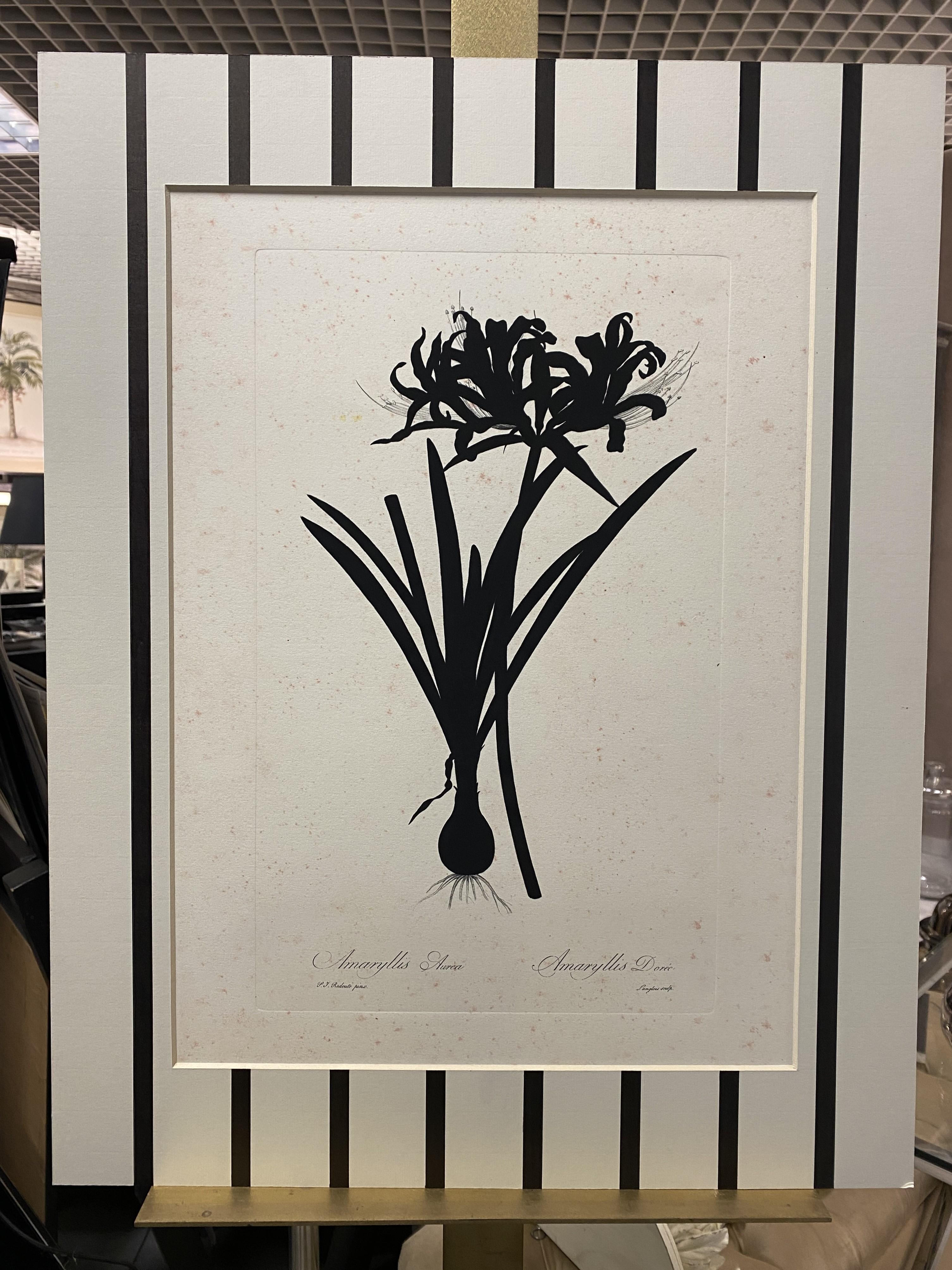 Elegant hand-watercoloured black silhouette print representing 