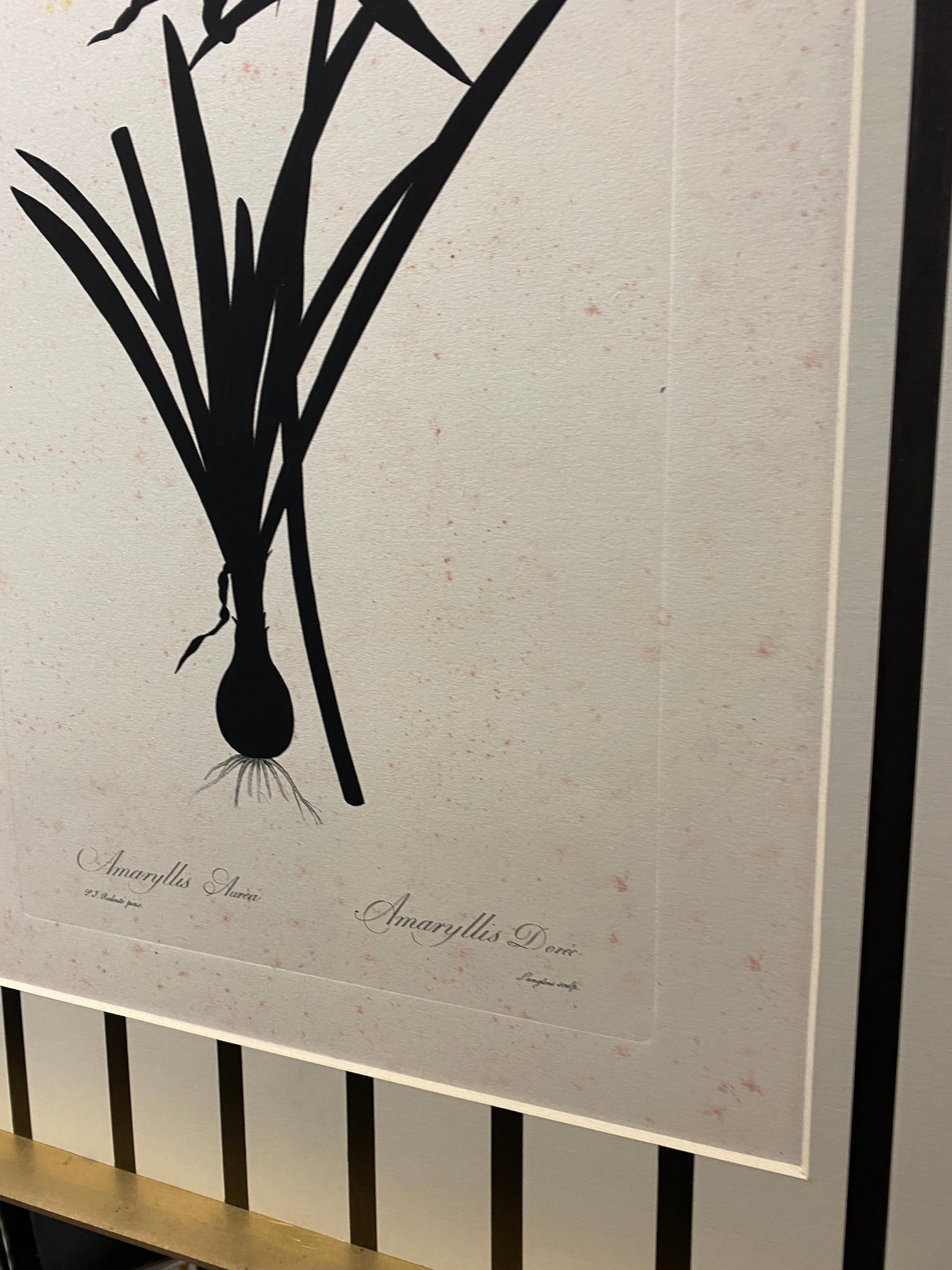 Italienische Contemporary Hand gemalt Botanical Black Print 