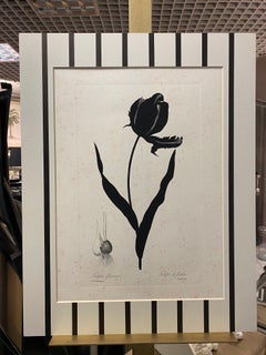 Italian Contemporary Hand Painted Botanical Black Print "Tulipe de Jardins"