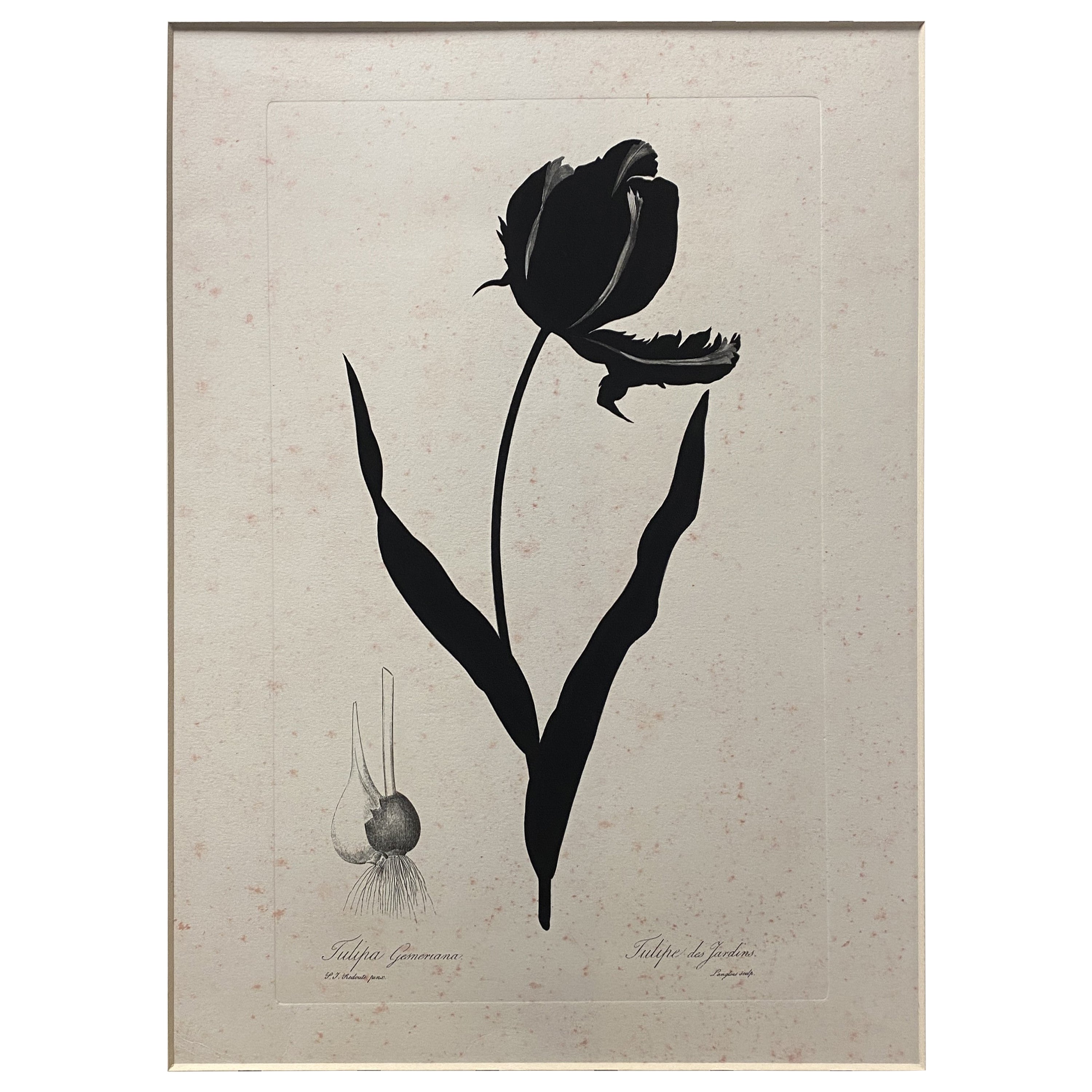 Italienischer Contemporary Hand Painted Botanical Black Print 