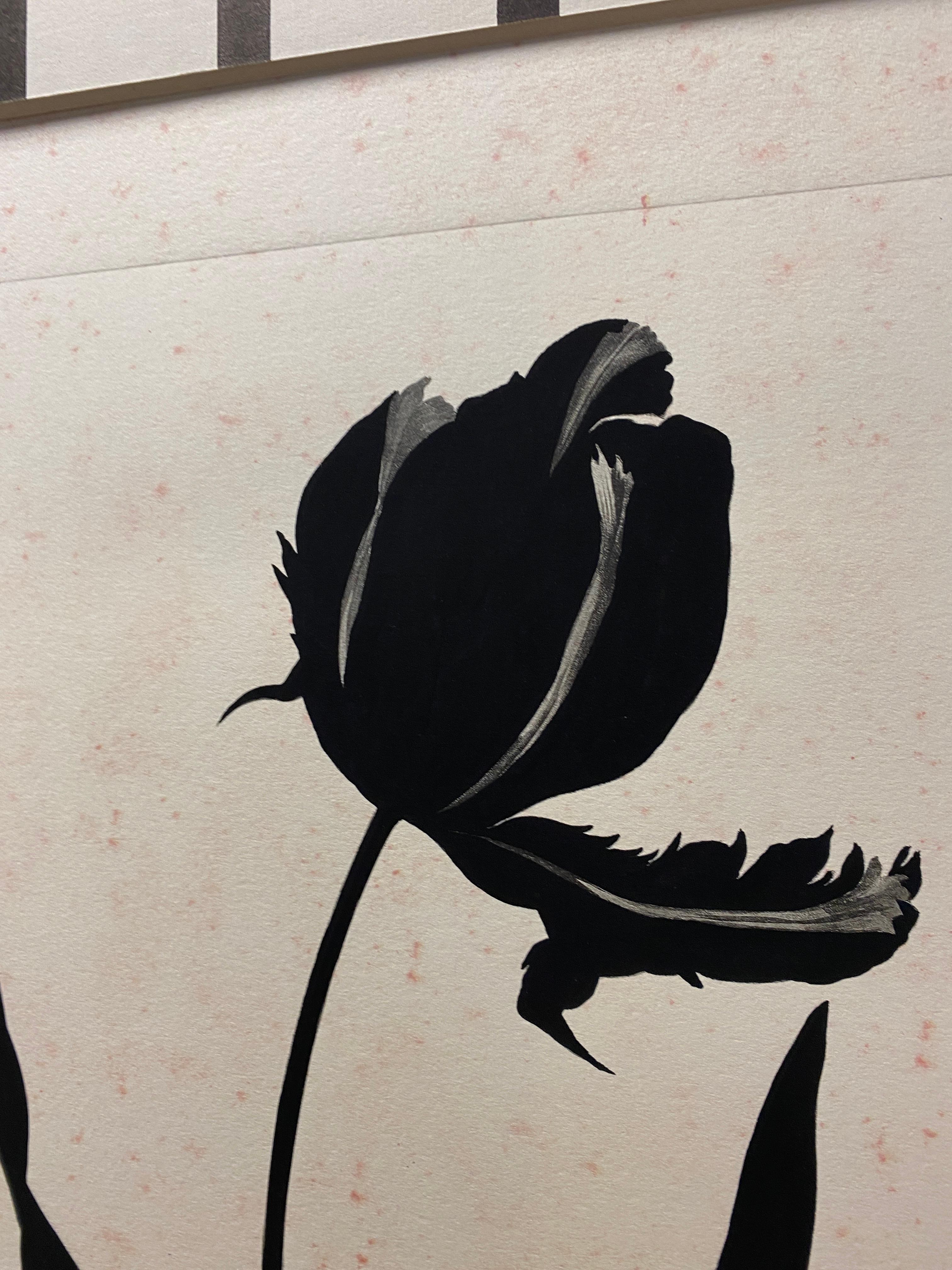 Stampa botanica contemporanea italiana dipinta a mano in nero 