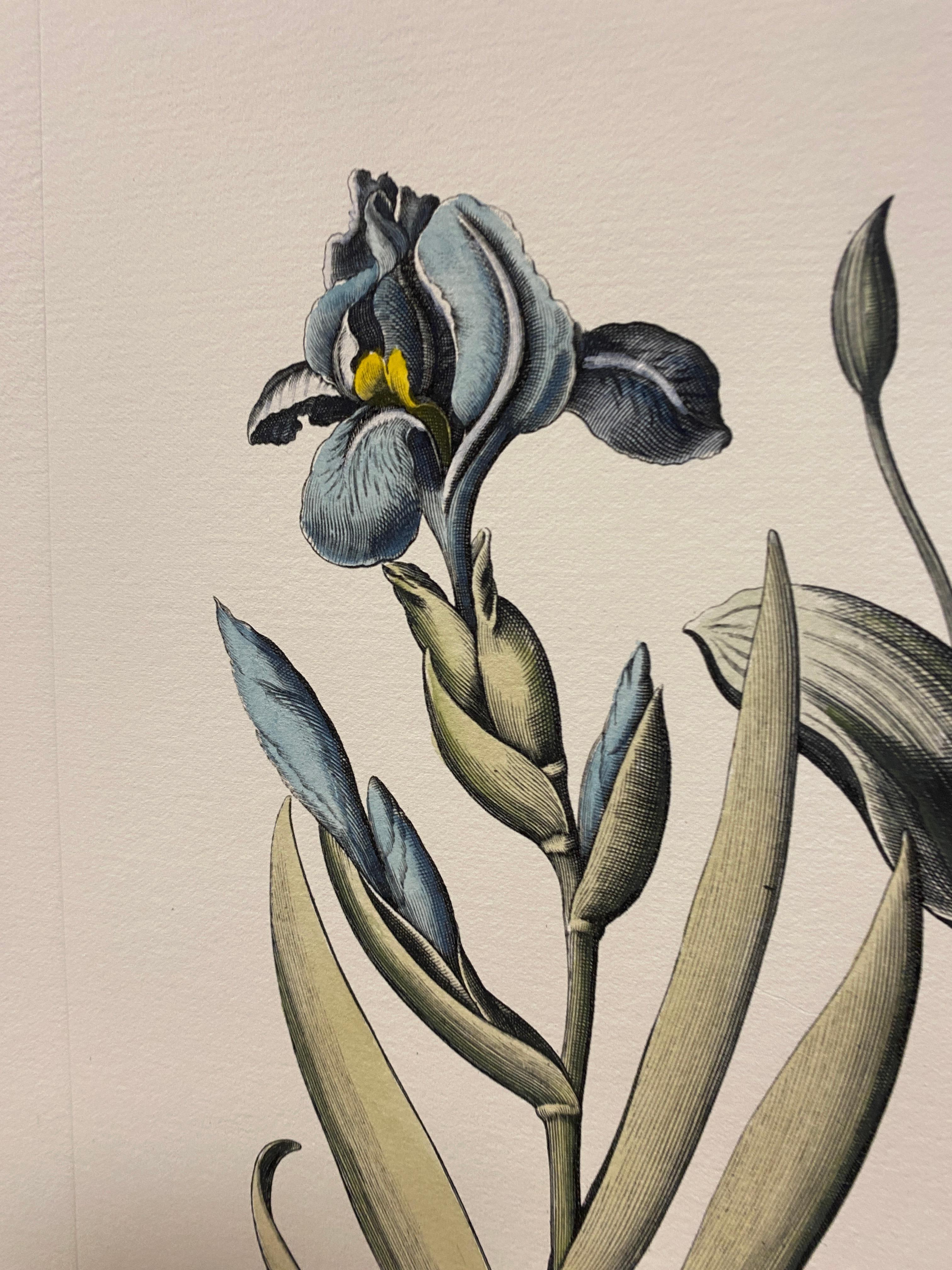 Hand-Painted Italian Contemporary Hand Painted Botanical Blue Print 