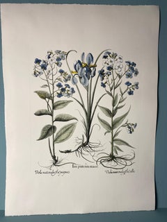 Italian Contemporary Hand Painted Botanical Blue Print "Iris and Viola" 7 of 10