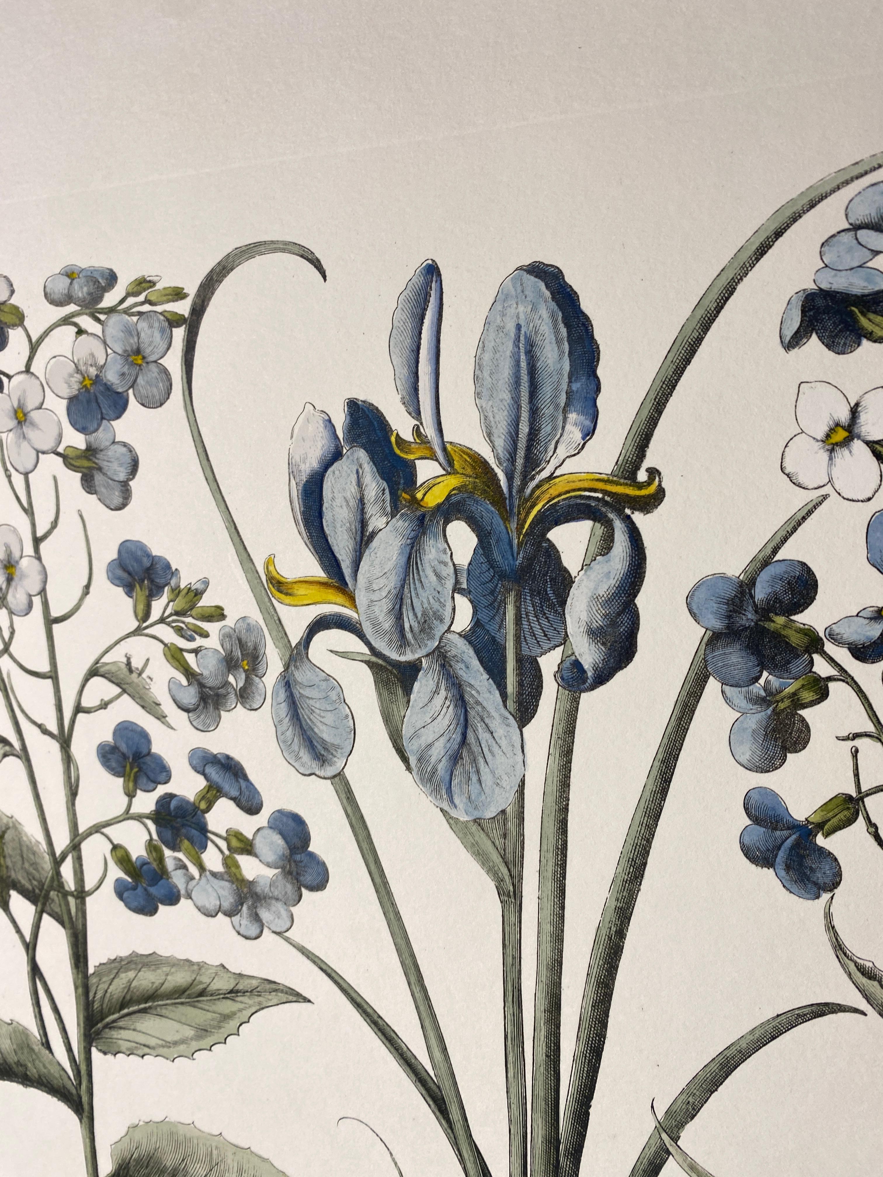 XXI secolo e contemporaneo Stampa botanica italiana contemporanea dipinta a mano in blu 