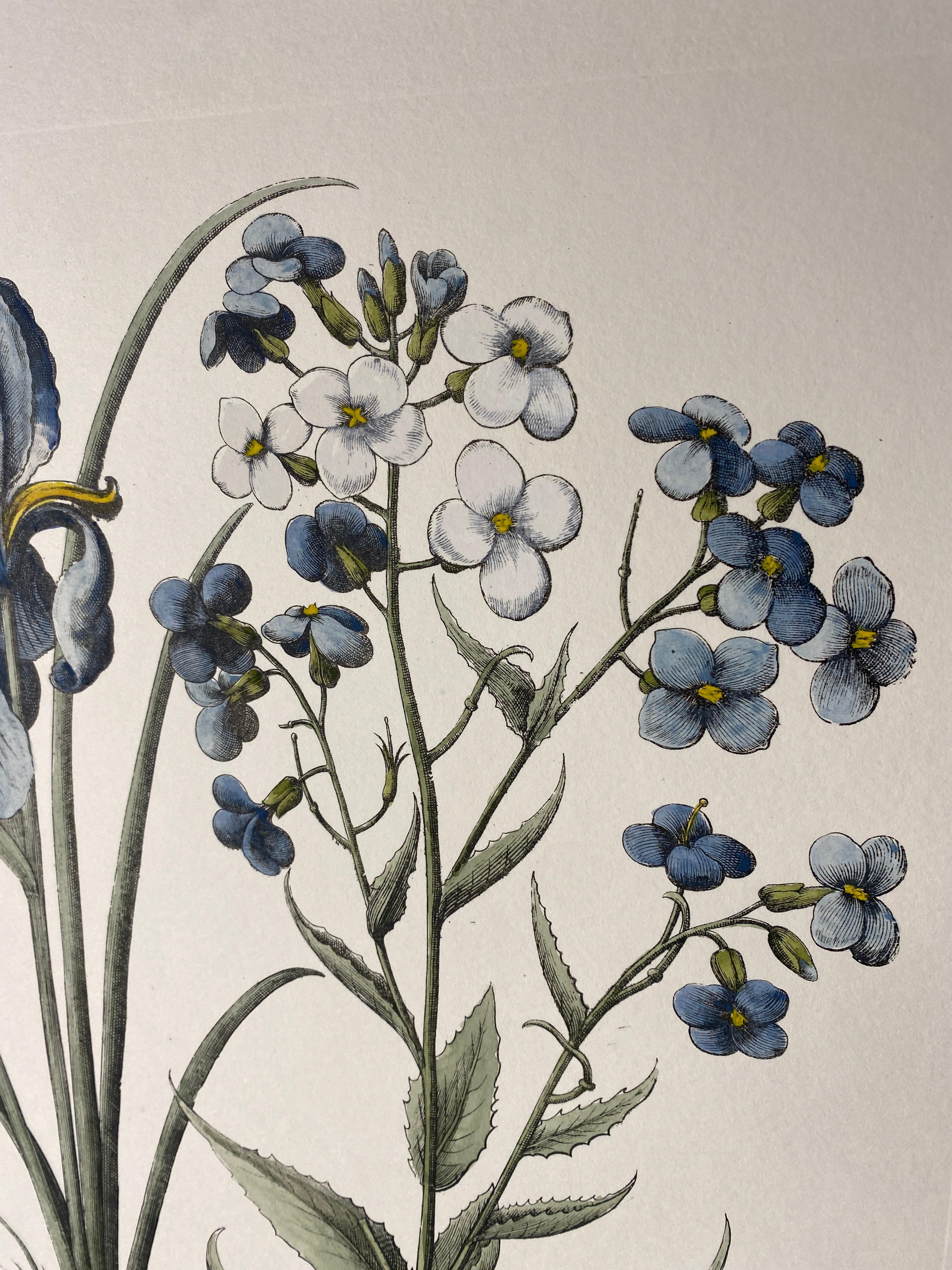 Carta Stampa botanica italiana contemporanea dipinta a mano in blu 