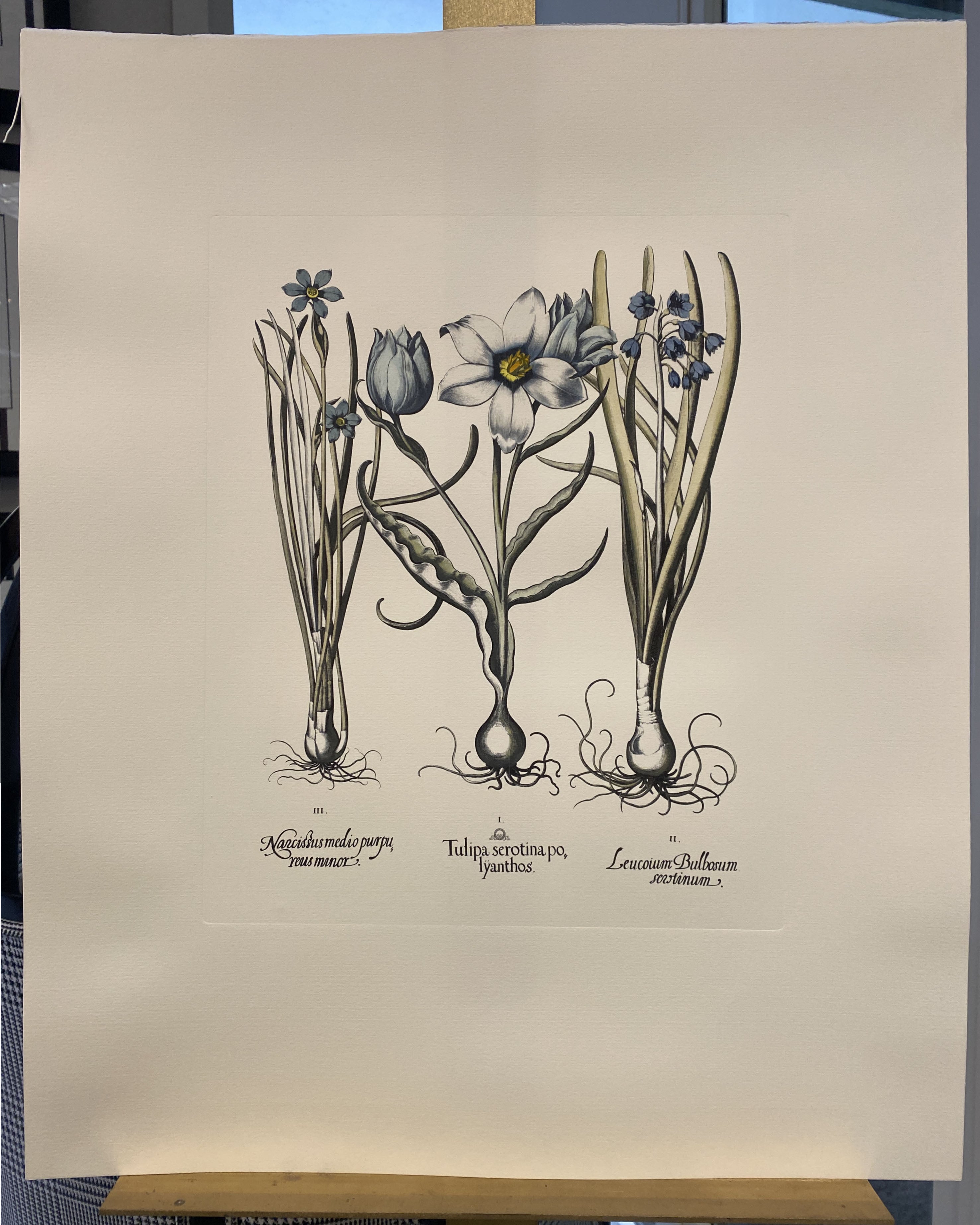Druck aus der Collection Botanique Bulbacee, der Paeonia darstellt, angereichert mit blauen Farben und Nuancen von Aquarell.

Für eine farbenfrohe Komposition stehen auch verschiedene Blumendrucke von Bulbacee zur Verfügung, die von einem Designer