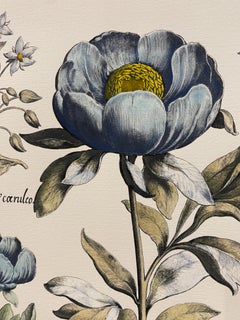 Italienische Contemporary Hand gemalte Botanical Blue Print "Paeonia" 6 von 6