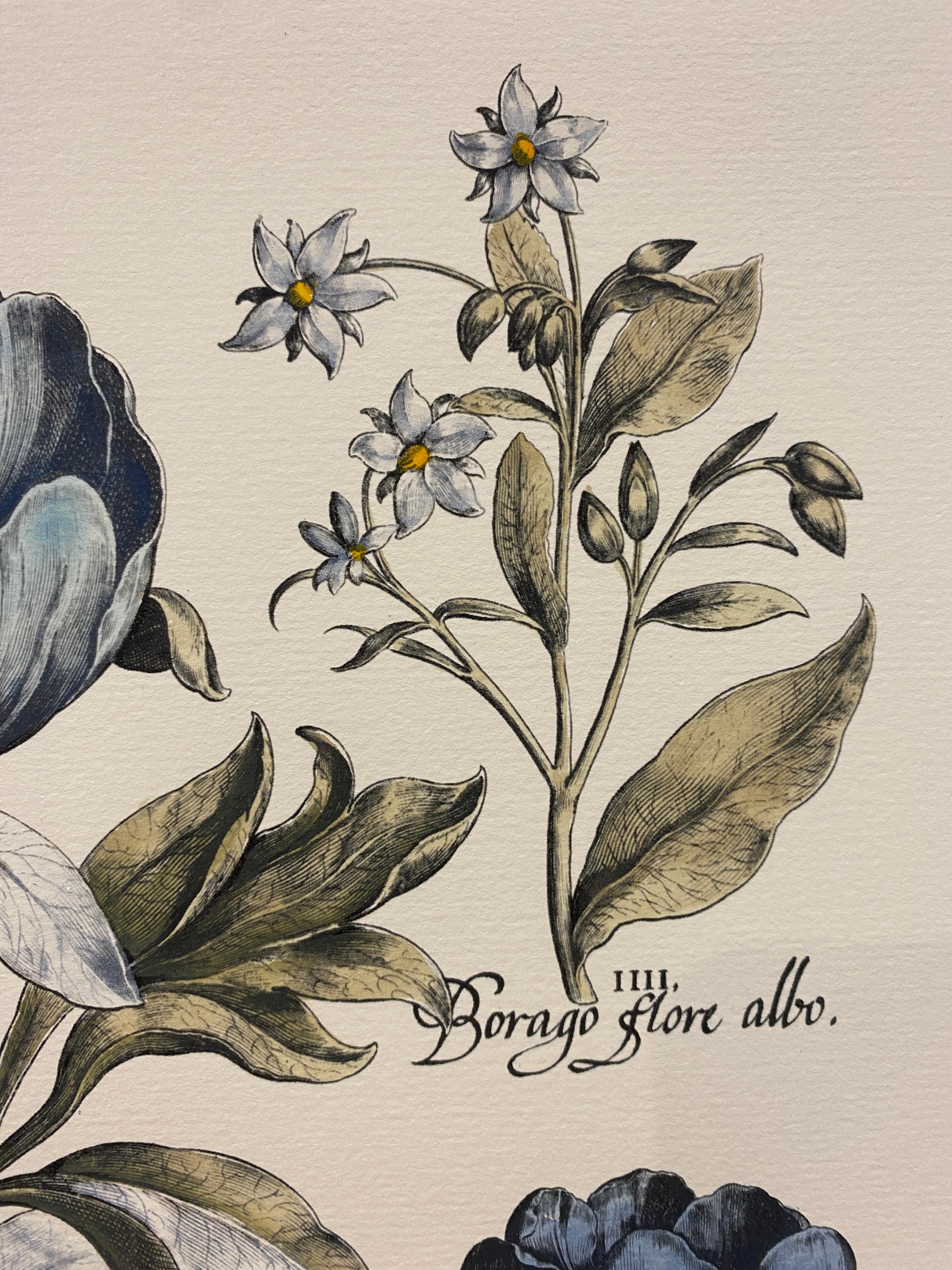 Italian Contemporary Hand Painted Botanical Blue Print 