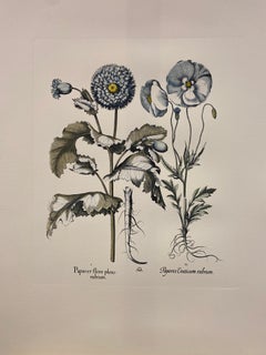 Italian Contemporary Hand Painted Botanical Blue Print "Papaver" 4 of 10