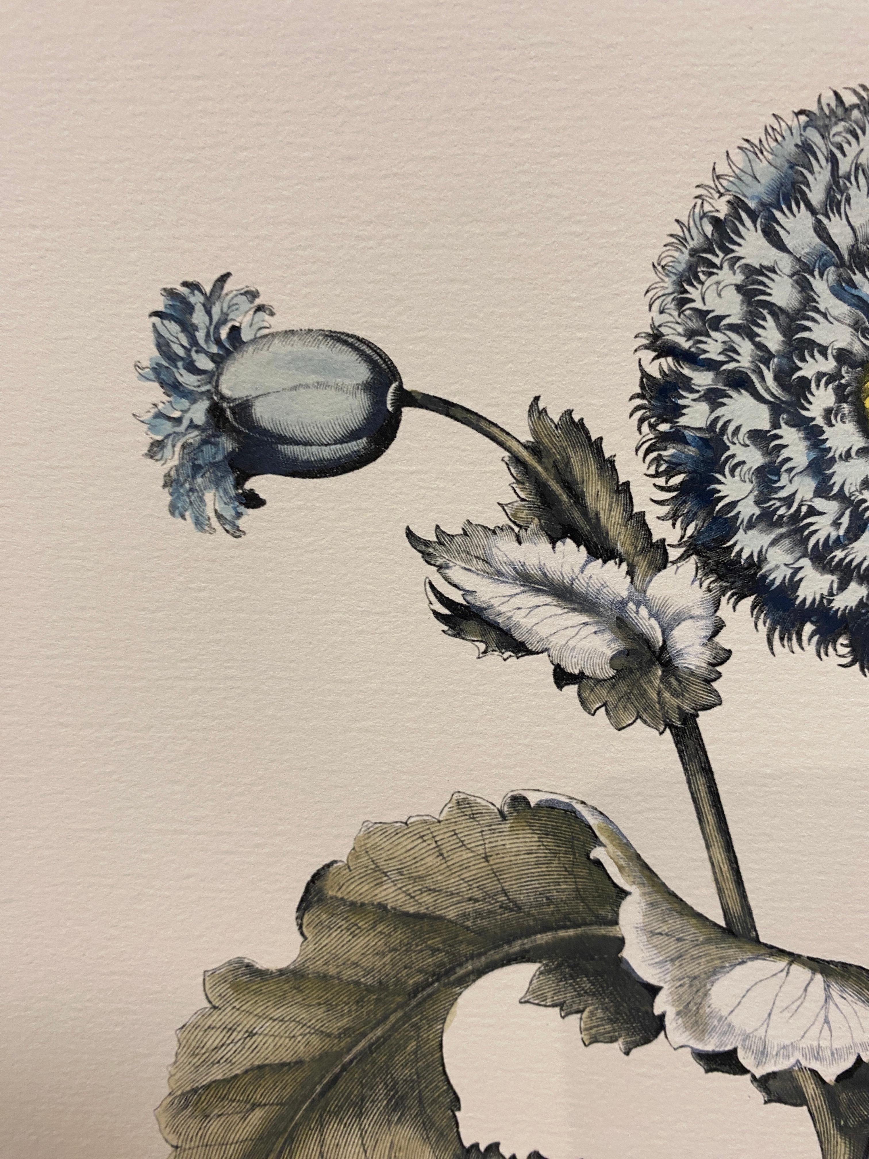 Italian Contemporary Hand Painted Botanical Blue Print 