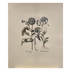 Italian Contemporary Hand Painted Botanical Blue Print "Papaver" 4 of 6