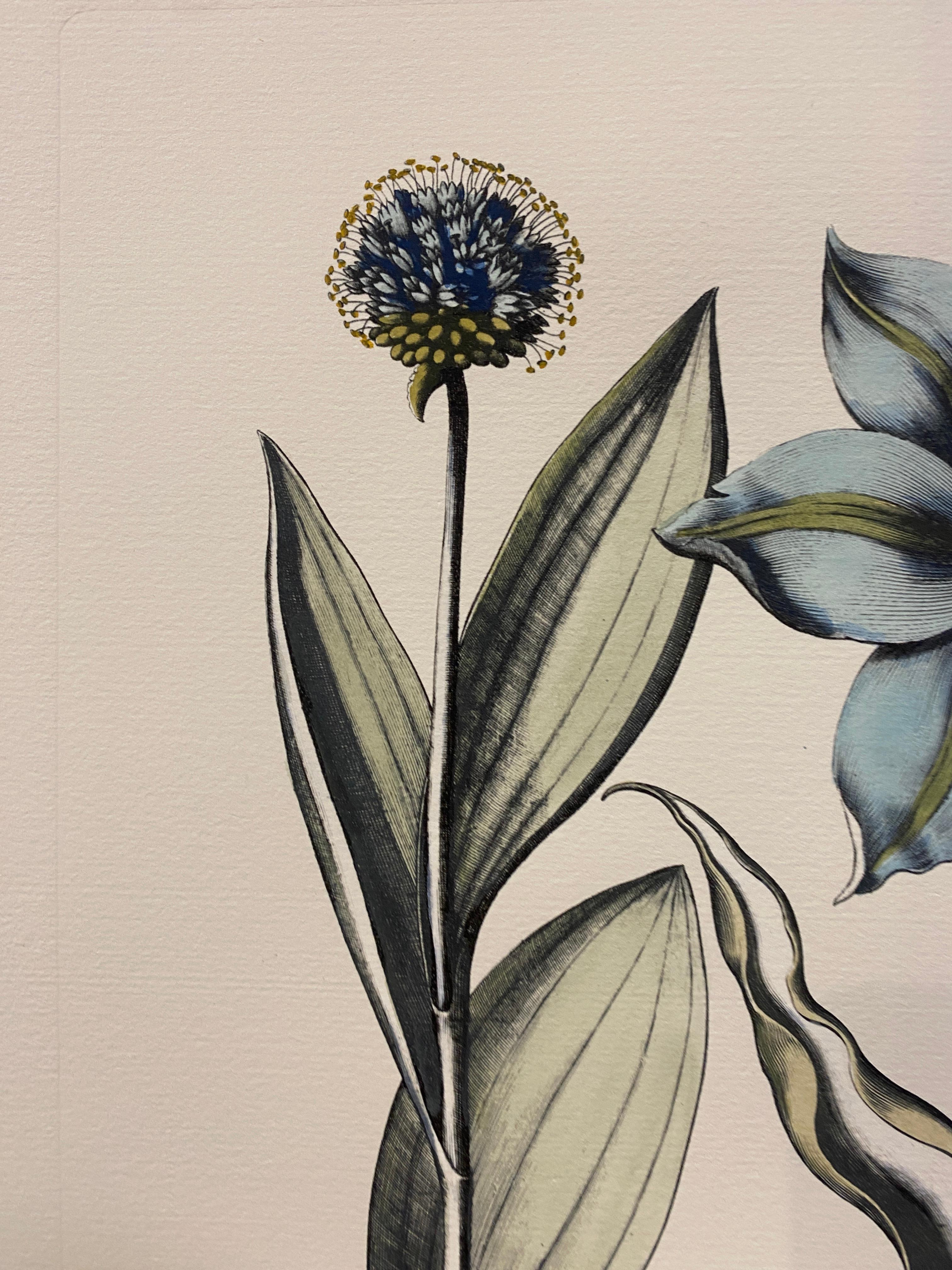 Hand-Painted Italian Contemporary Hand Painted Botanical Blue Print 