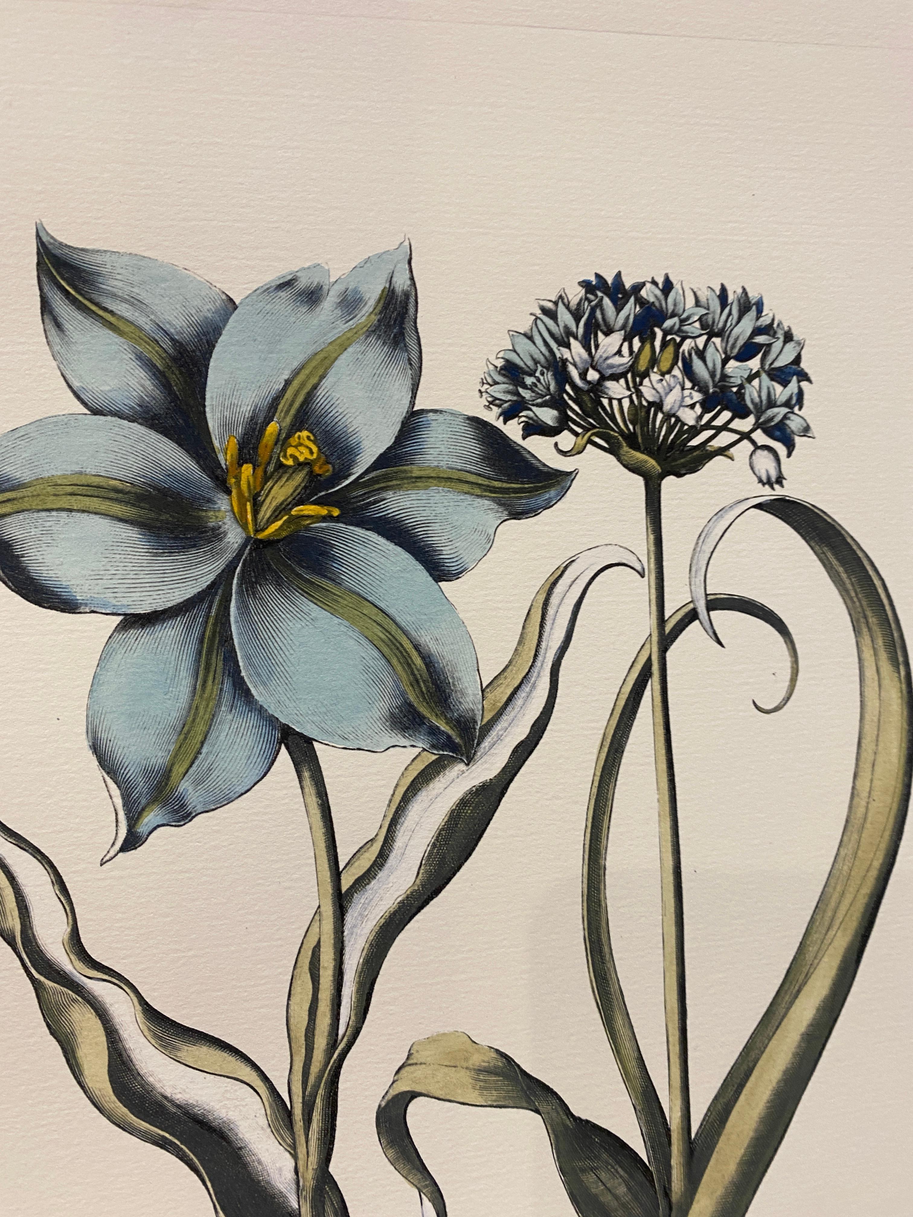 Carta Stampa botanica italiana contemporanea dipinta a mano in blu 