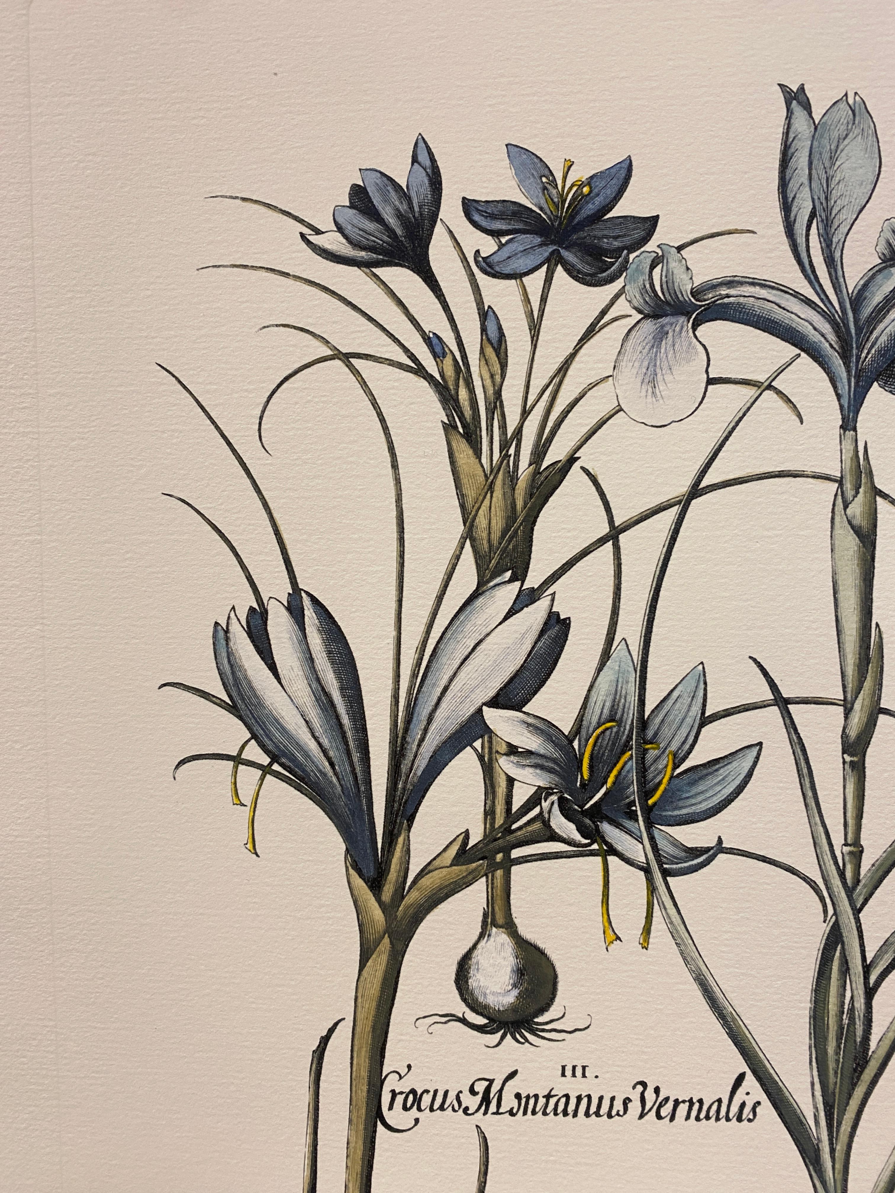 Estampa Contemporánea Italiana Pintada a Mano Botánica Azul 