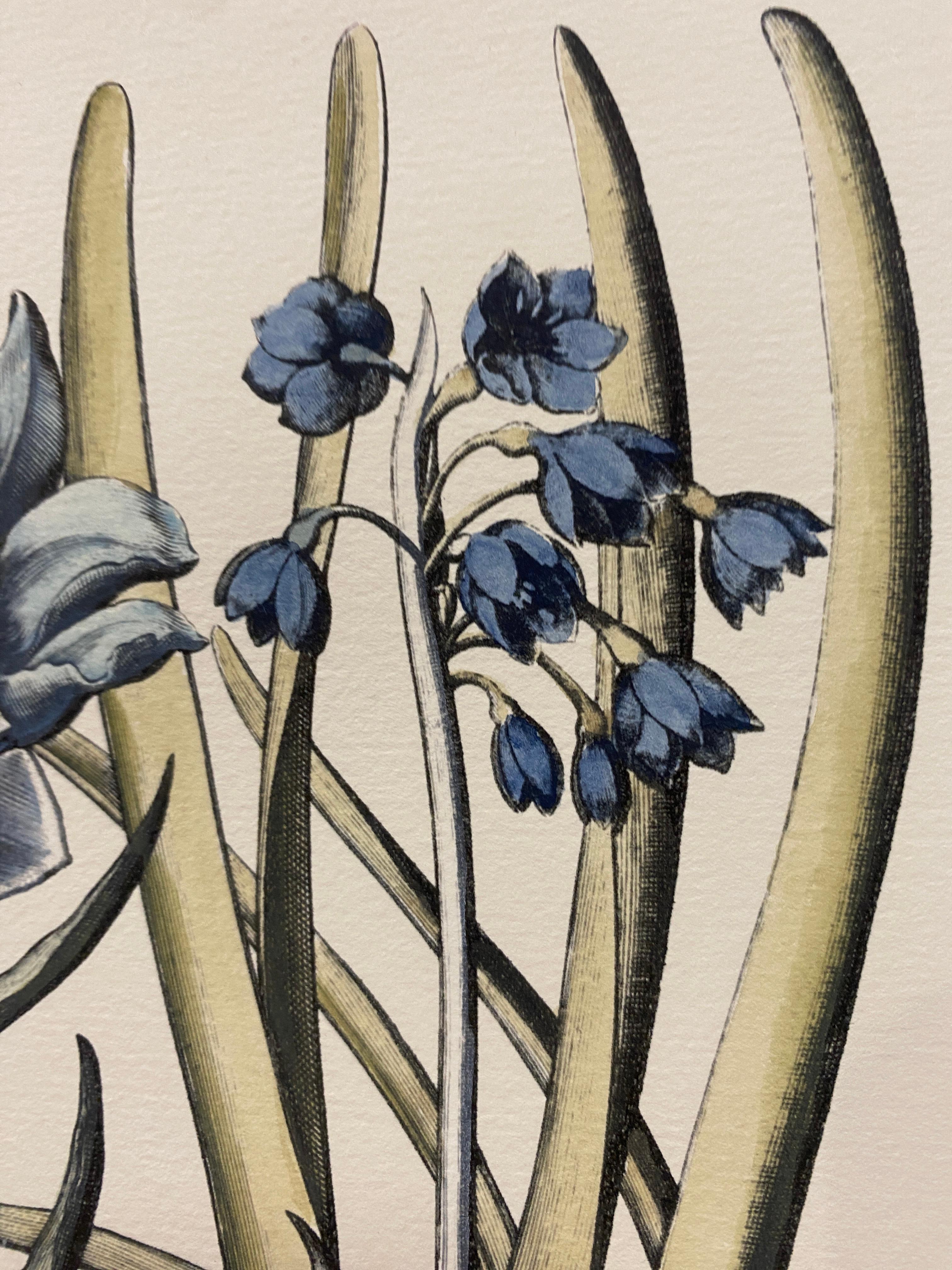 Italian Contemporary Hand Painted Botanical Blue Print 