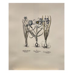 Italian Contemporary Hand Painted Botanical Blue Print "Tulipa Narcissus" 5 of 6