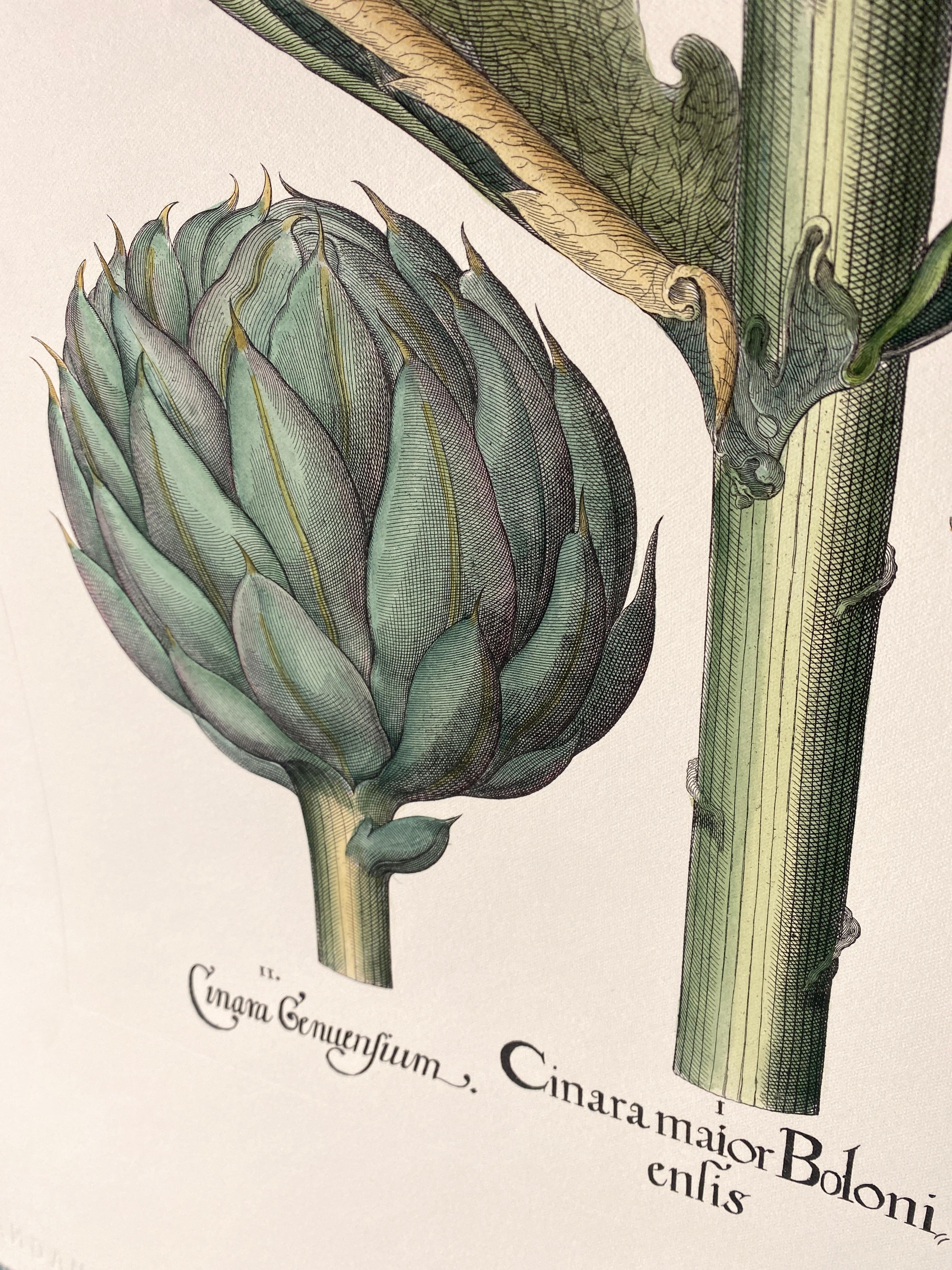 Hand-Painted Italian Contemporary Hand Painted Botanical Green Print 