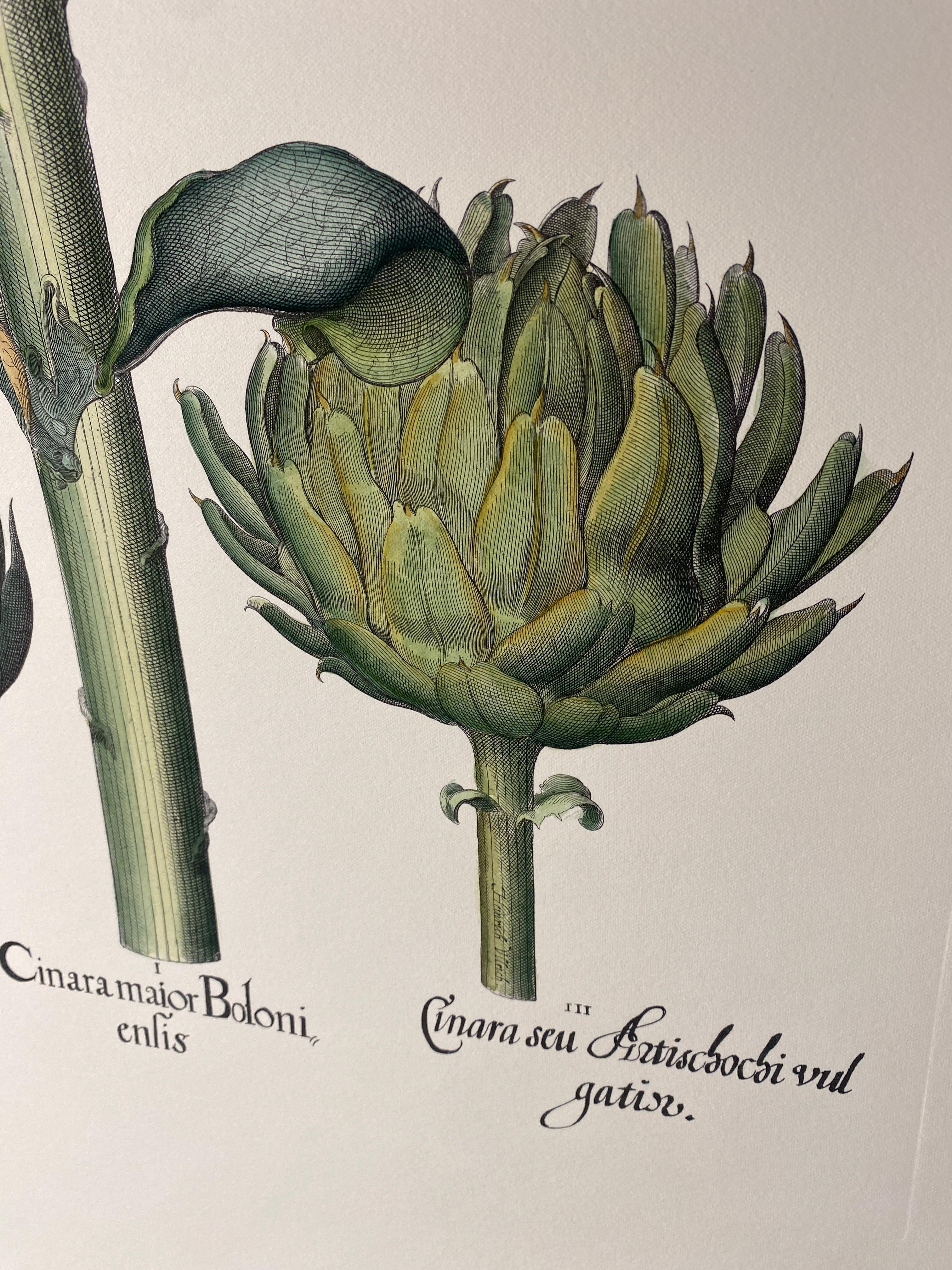 Italian Contemporary Hand Painted Botanical Green Print 