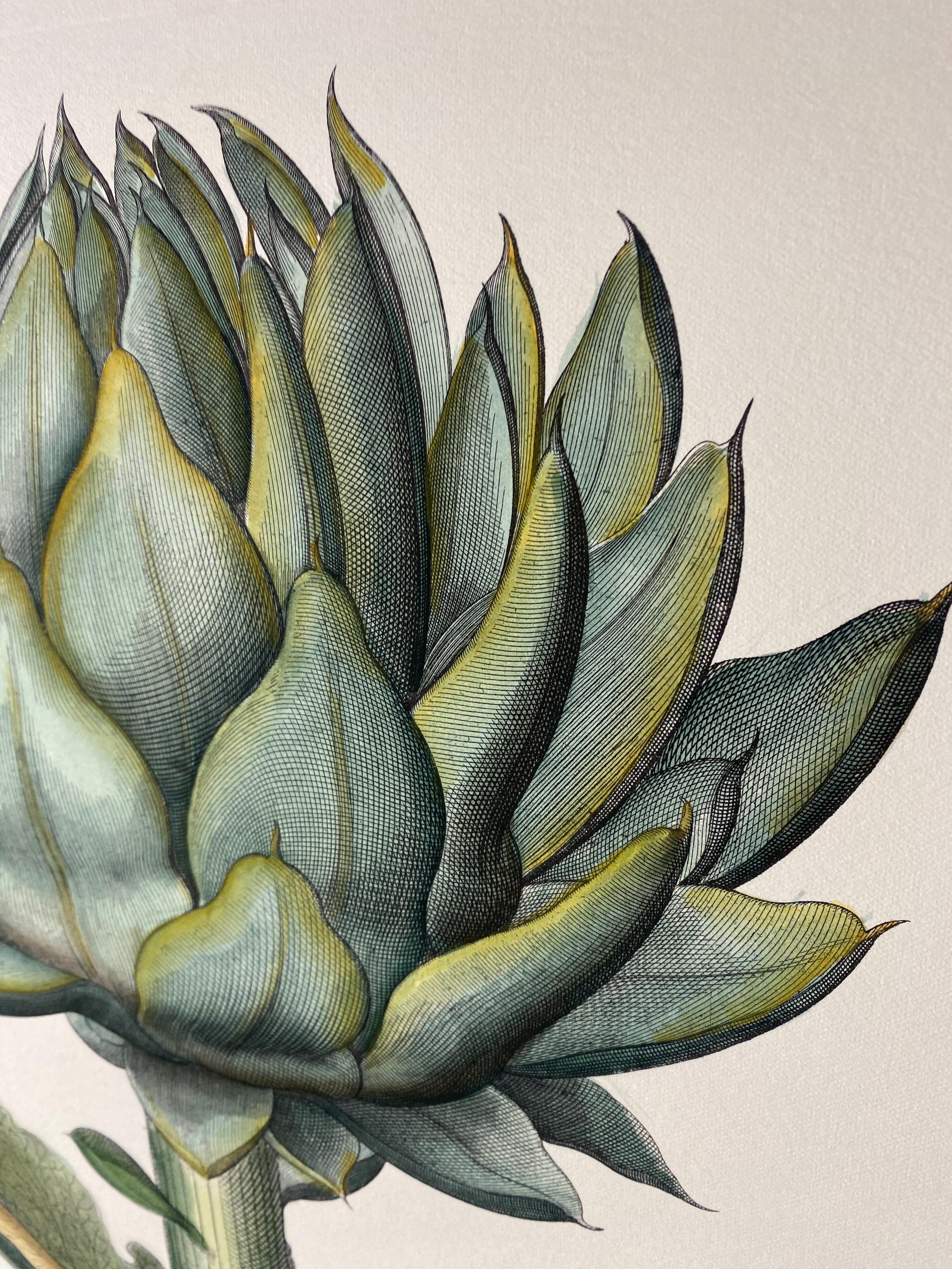 Paper Italian Contemporary Hand Painted Botanical Green Print 