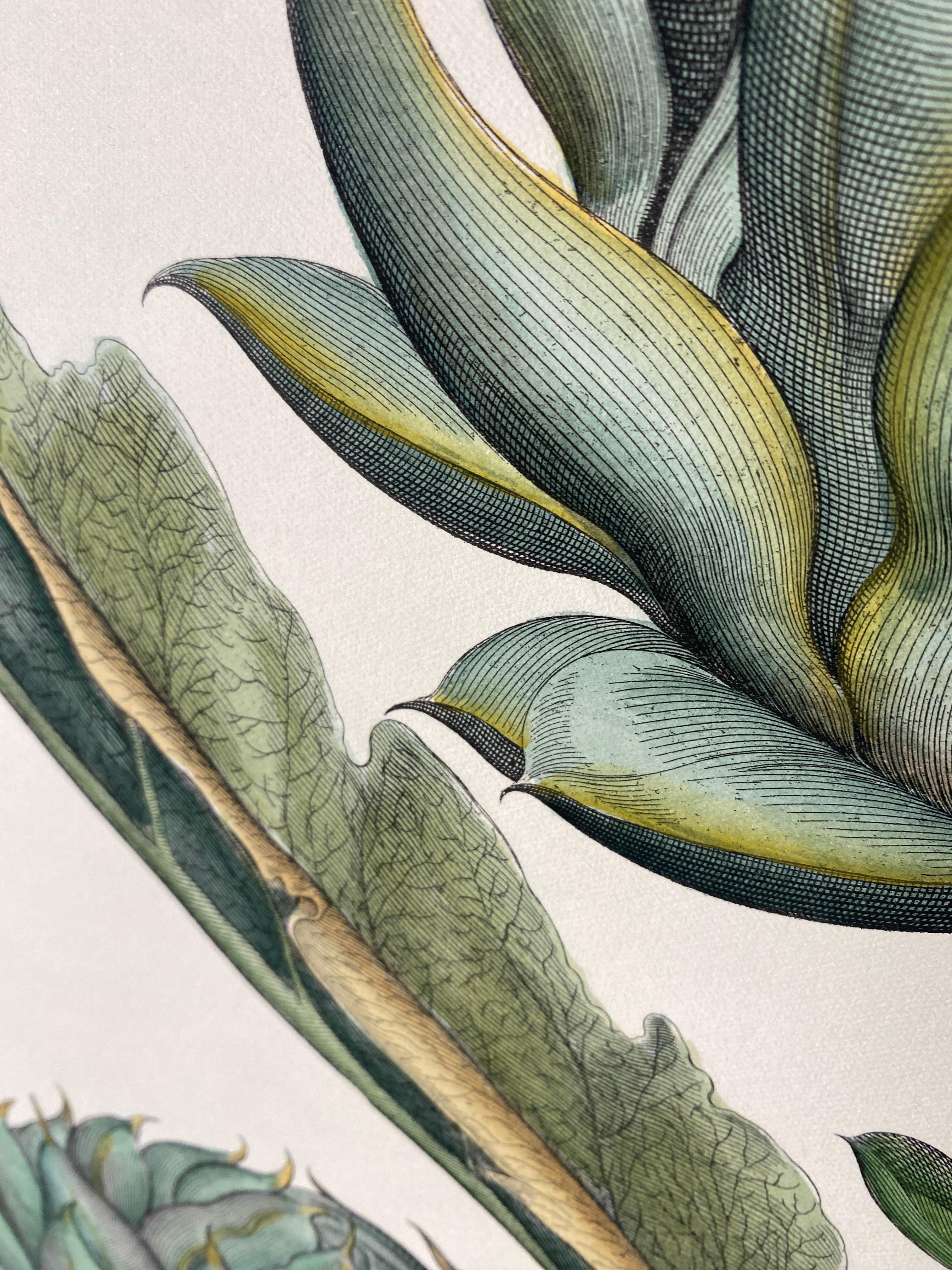 Italian Contemporary Hand Painted Botanical Green Print 