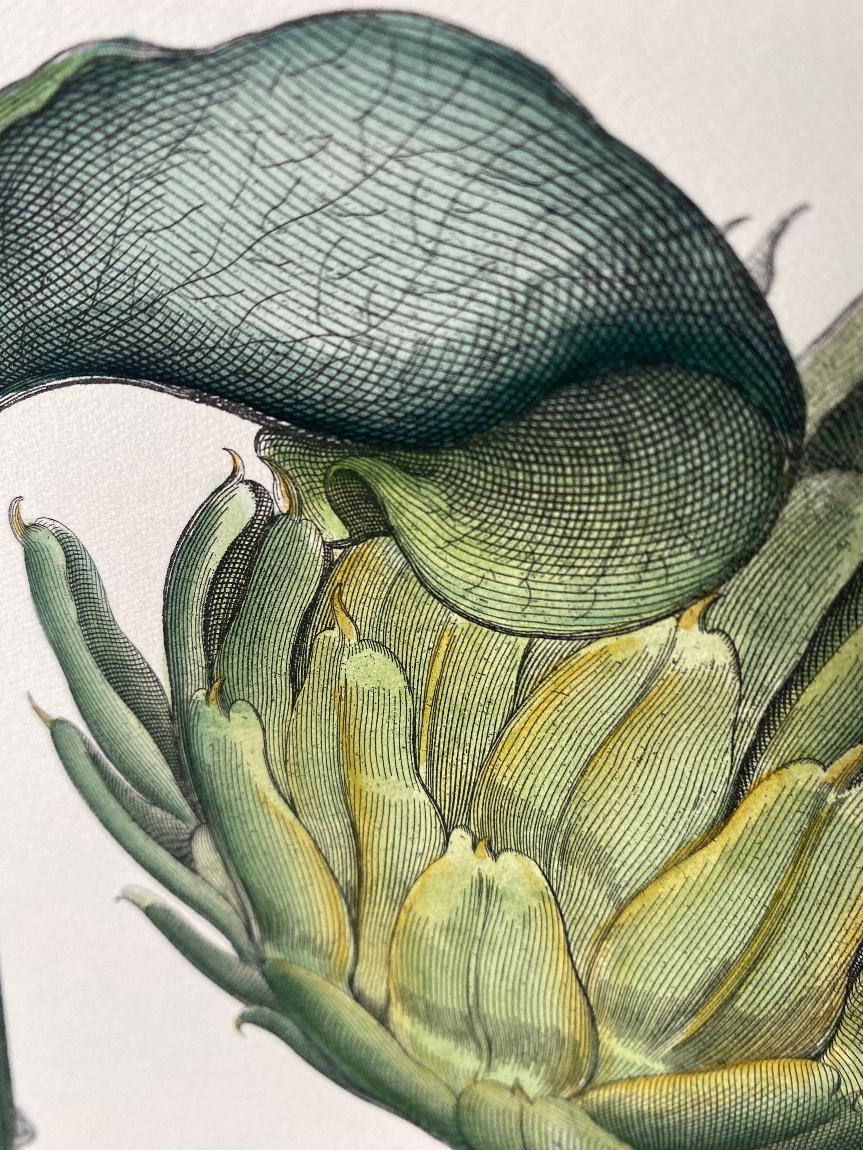 Italian Contemporary Hand Painted Botanical Green Print 