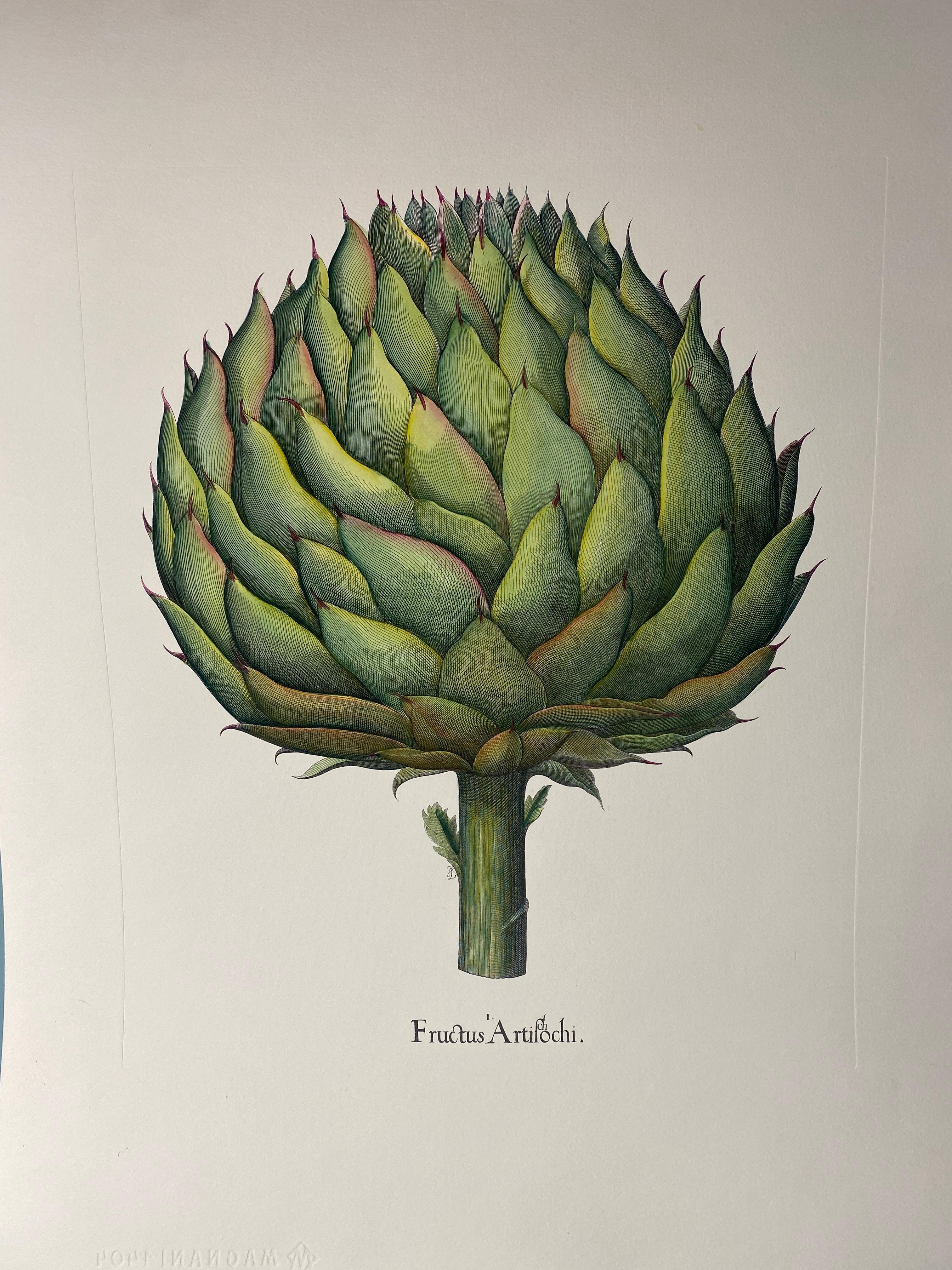 Estampa de la Colección Botanique Vegetables que representa un grupo de tres tipos diferentes de alcachofas enriquecidas con colores verdes y matices de acuarela.

También hay disponibles otros estampados de verduras y flores para crear una