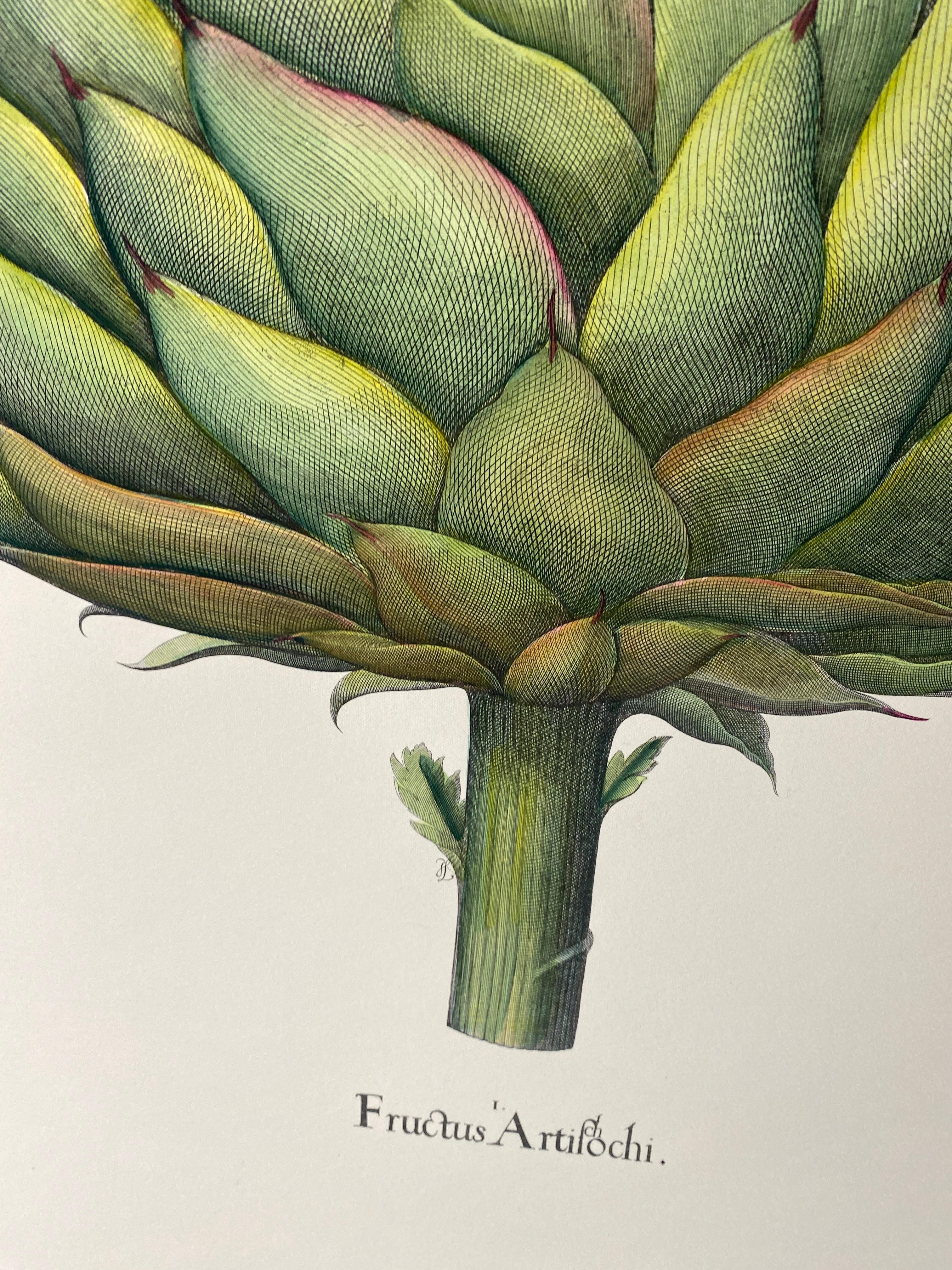 Estampa Contemporánea Italiana Pintada a Mano Botánica Verde 