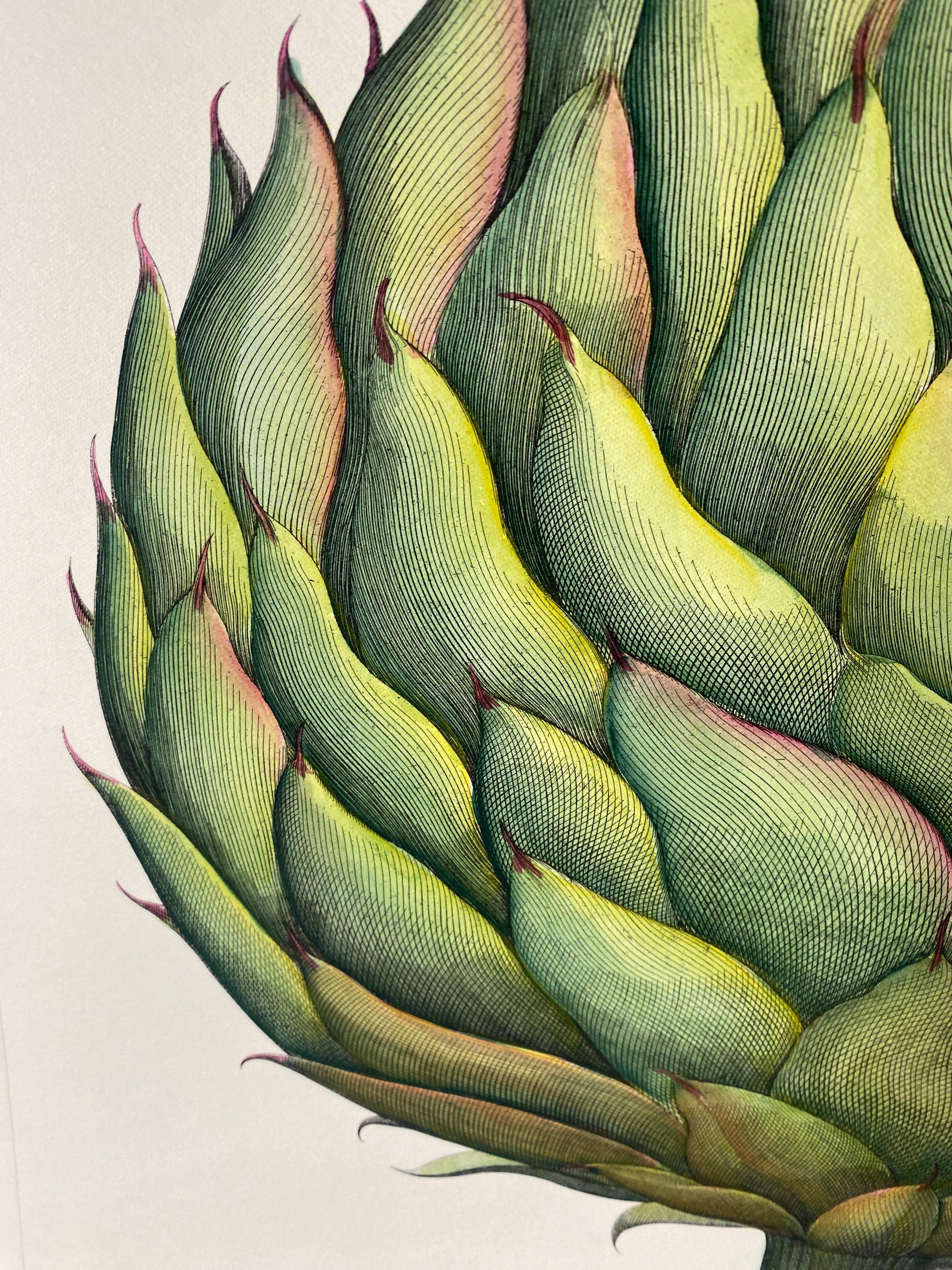 Estampa Contemporánea Italiana Pintada a Mano Botánica Verde 