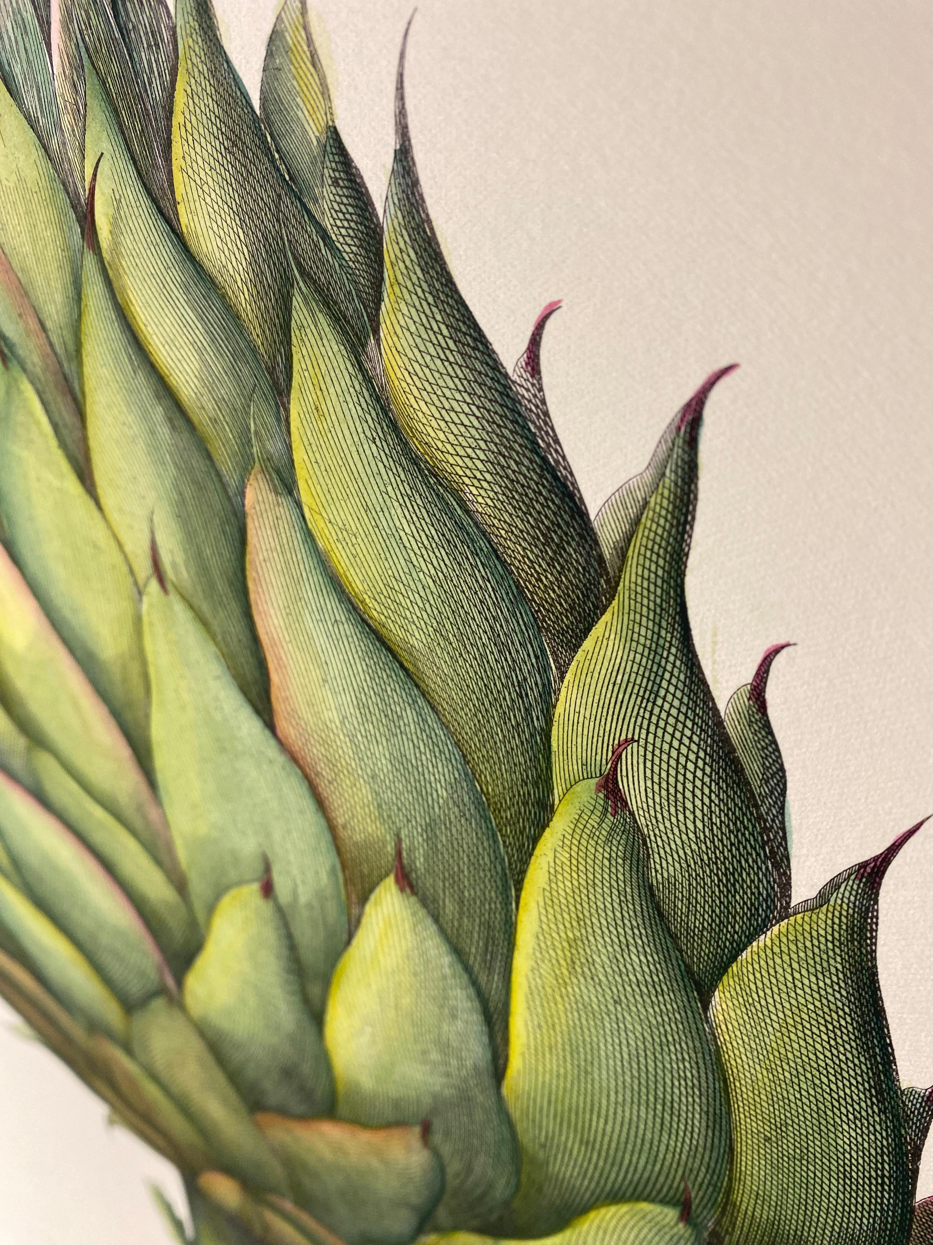 Estampa Contemporánea Italiana Pintada a Mano Botánica Verde 