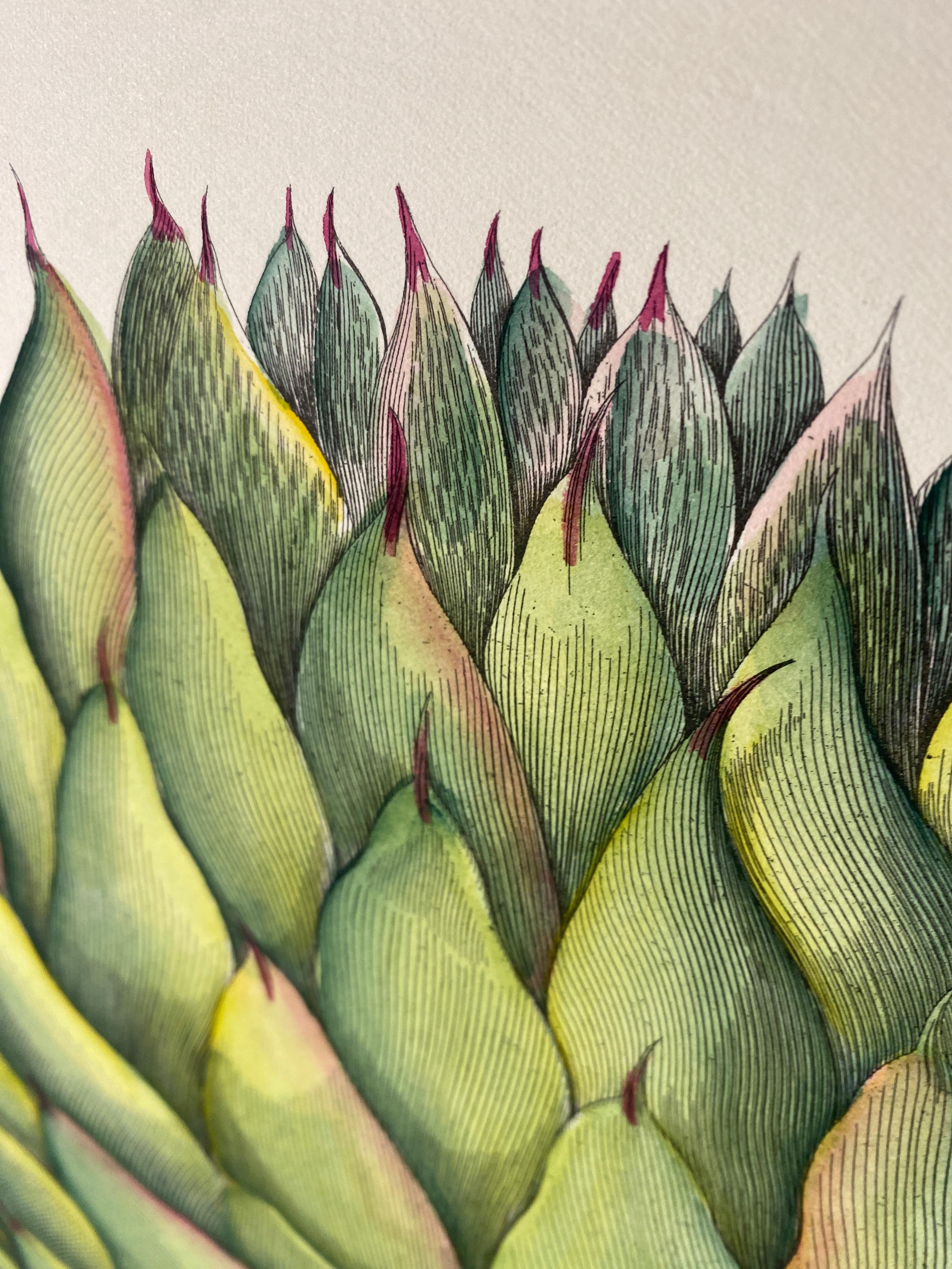 Estampa Contemporánea Italiana Pintada a Mano Botánica Verde 