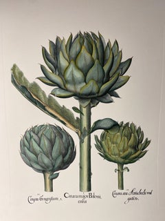 Estampa Contemporánea Italiana Pintada a Mano Botánica Verde "Alcachofa" Lote de 2