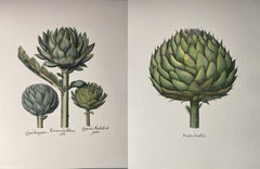 Estampa Contemporánea Italiana Pintada a Mano Botánica Verde "Alcachofa" Lote de 2