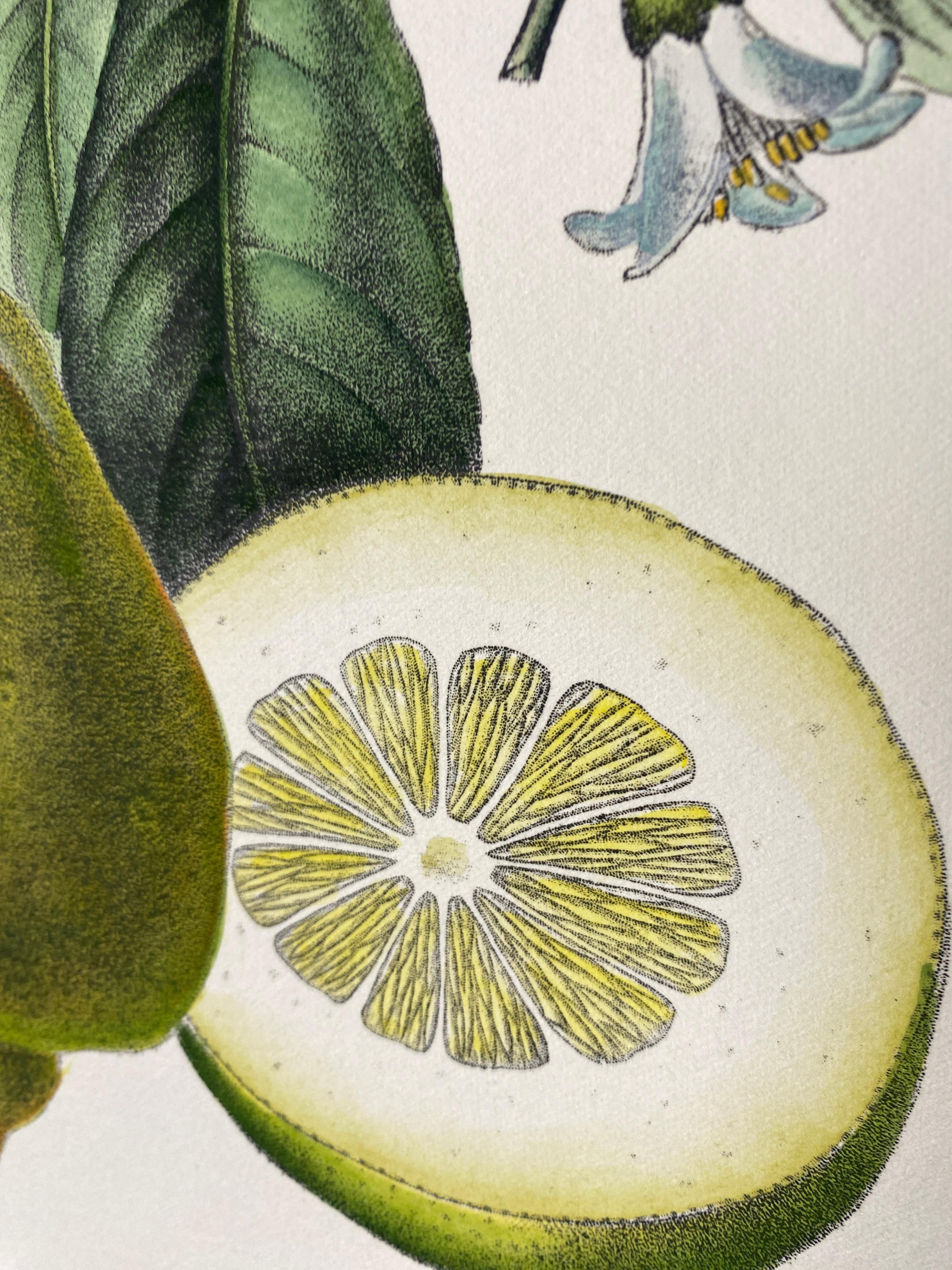 Italian Contemporary Hand Painted Botanical Green Yellow Print 