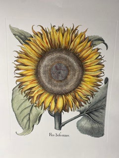 Italian Contemporary Hand Painted Botanical Green Yellow Print "Sunflower"