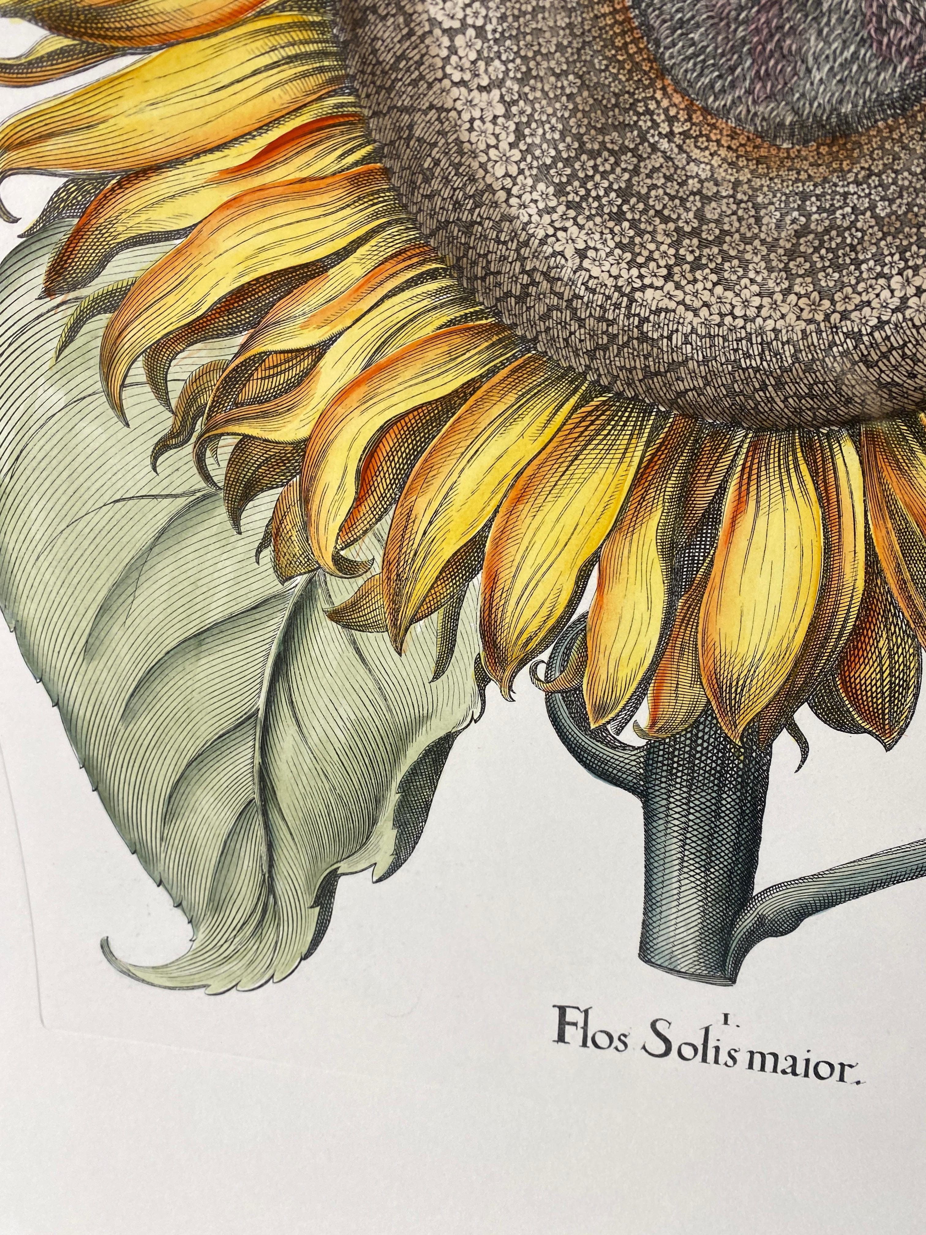 Hand-Painted Italian Contemporary Hand Painted Botanical Green Yellow Print 