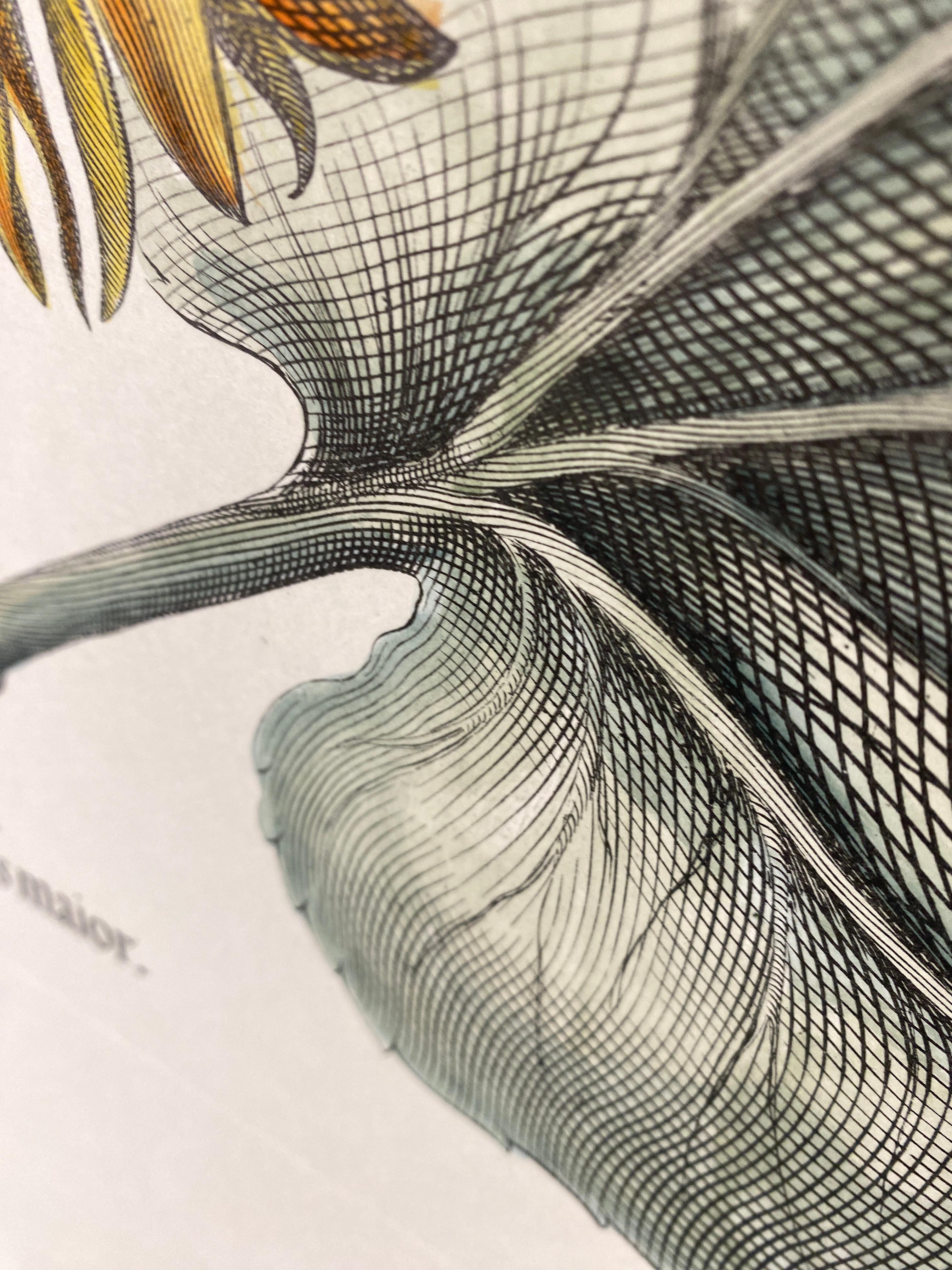 Italian Contemporary Hand Painted Botanical Green Yellow Print 