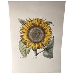 Italian Contemporary Hand Painted Botanical Green Yellow Print "Sunflower"