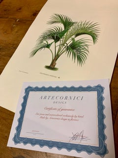 Italian Contemporary Hand Painted Botanical Print "Kentia Luciani" 1 of 6