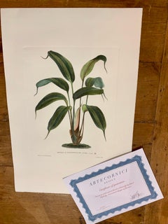 Italian Contemporary Hand Painted Botanical Print "Mapania Lucida" 2 of 6