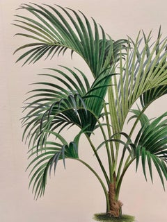 Italian Contemporary HandPainted Botanical Print L'Illustration Horticole 3 of 6