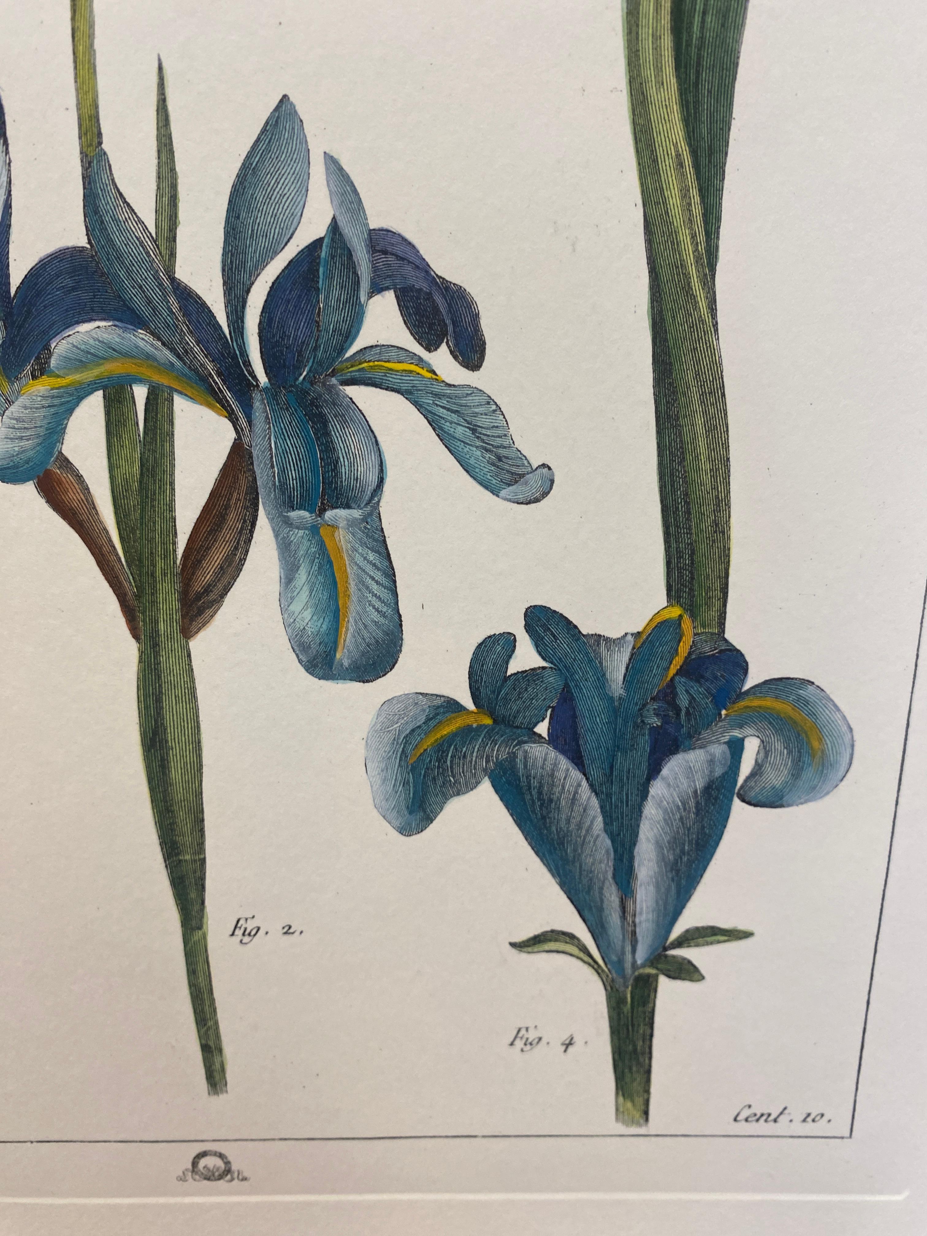Papier Impression botanique italienne contemporaine peinte à la main 