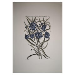 Estampa Botánica Contemporánea Italiana Pintada a Mano "Nerium Latifolium"